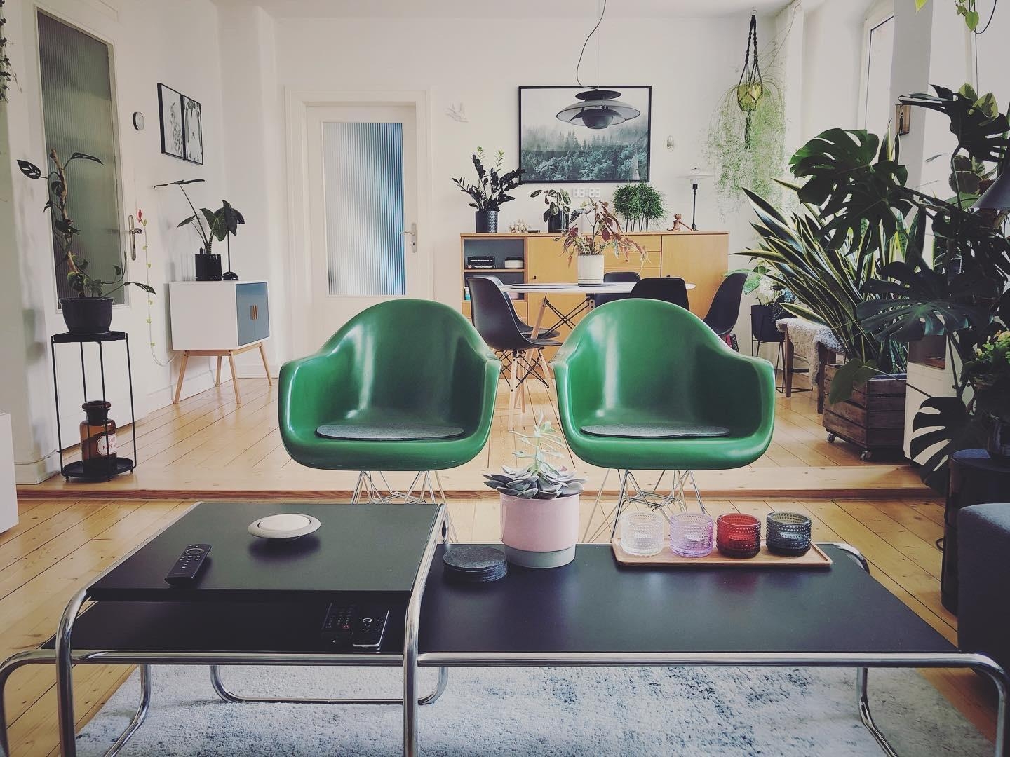 Grün grün grün sind alle meine..... ähhhhh Pflanzen, Stühle #couchstyle #wohnzimmergestaltung #livingchallenge