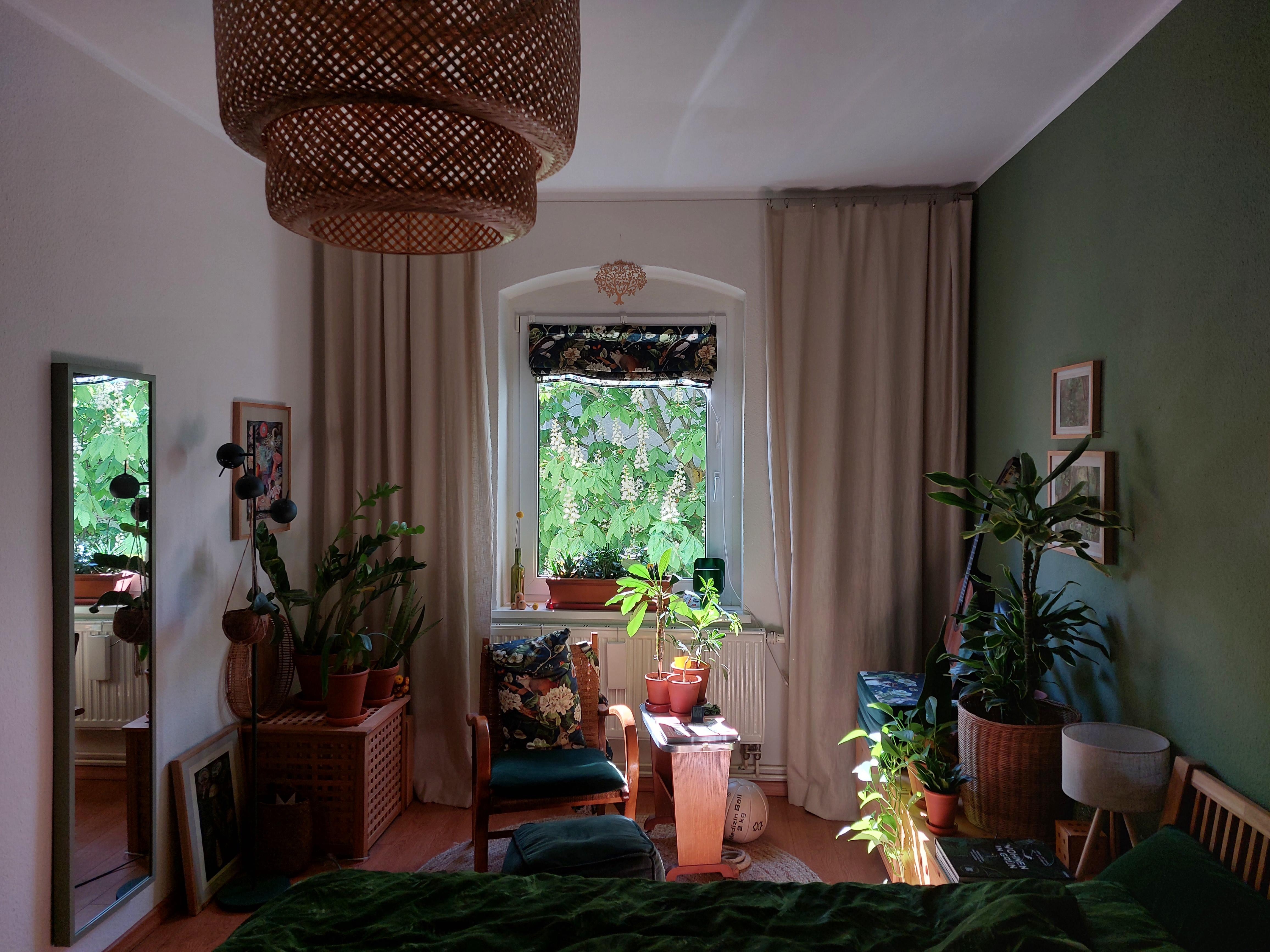 #grün #Schlafzimmer #Pflanzenliebe #urbanjungle #Altbau #Berlin #DIY