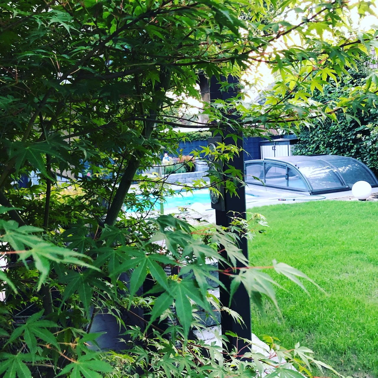 #grüneoase #gartenliebe #pool
Endlich wächst der Rasen wieder ❤️
