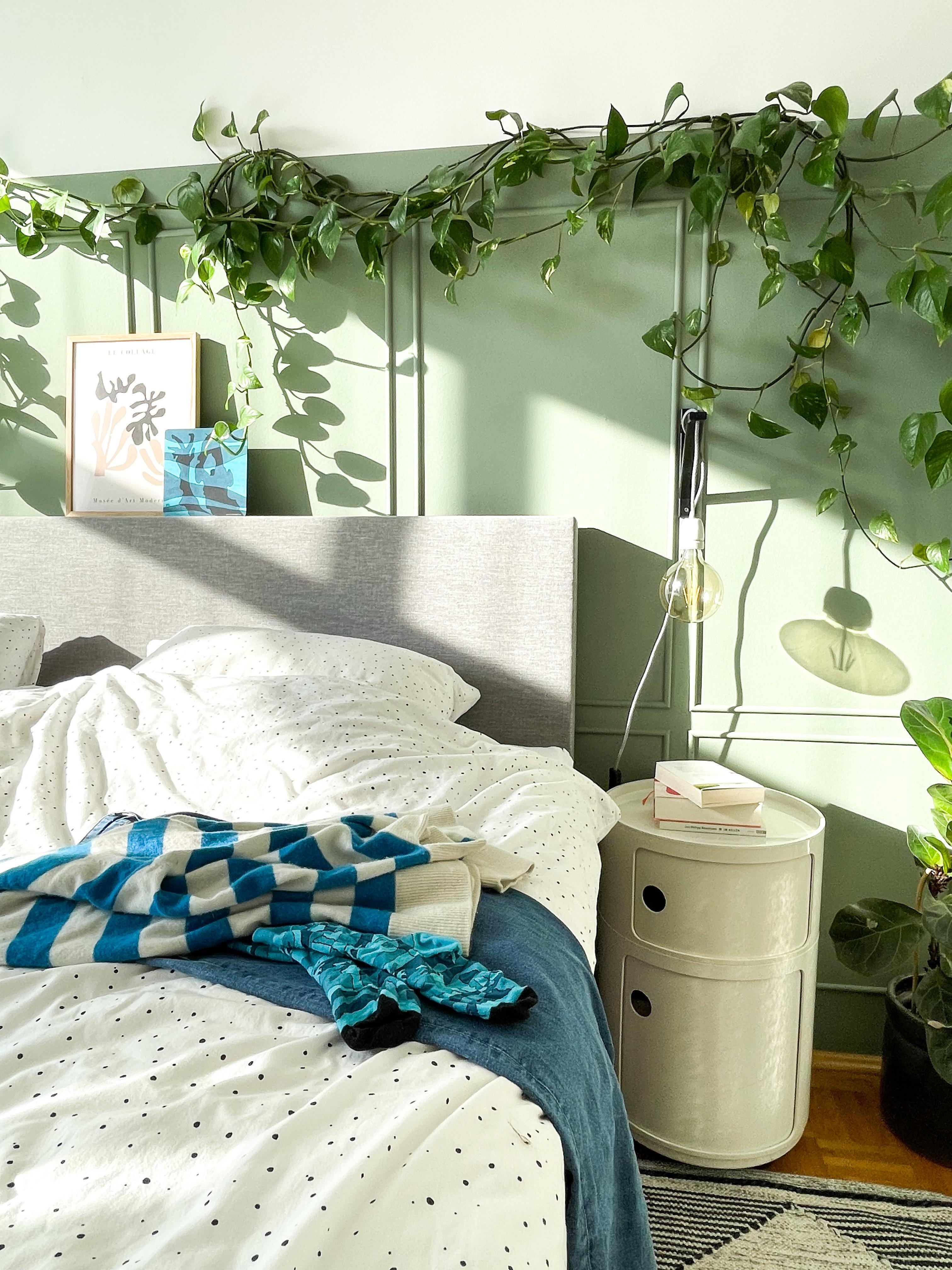Grüner wird‘s nicht ...

#Schlafzimmer #Bett #Bettwäsche #pflanze #Sonnenschein #Grün