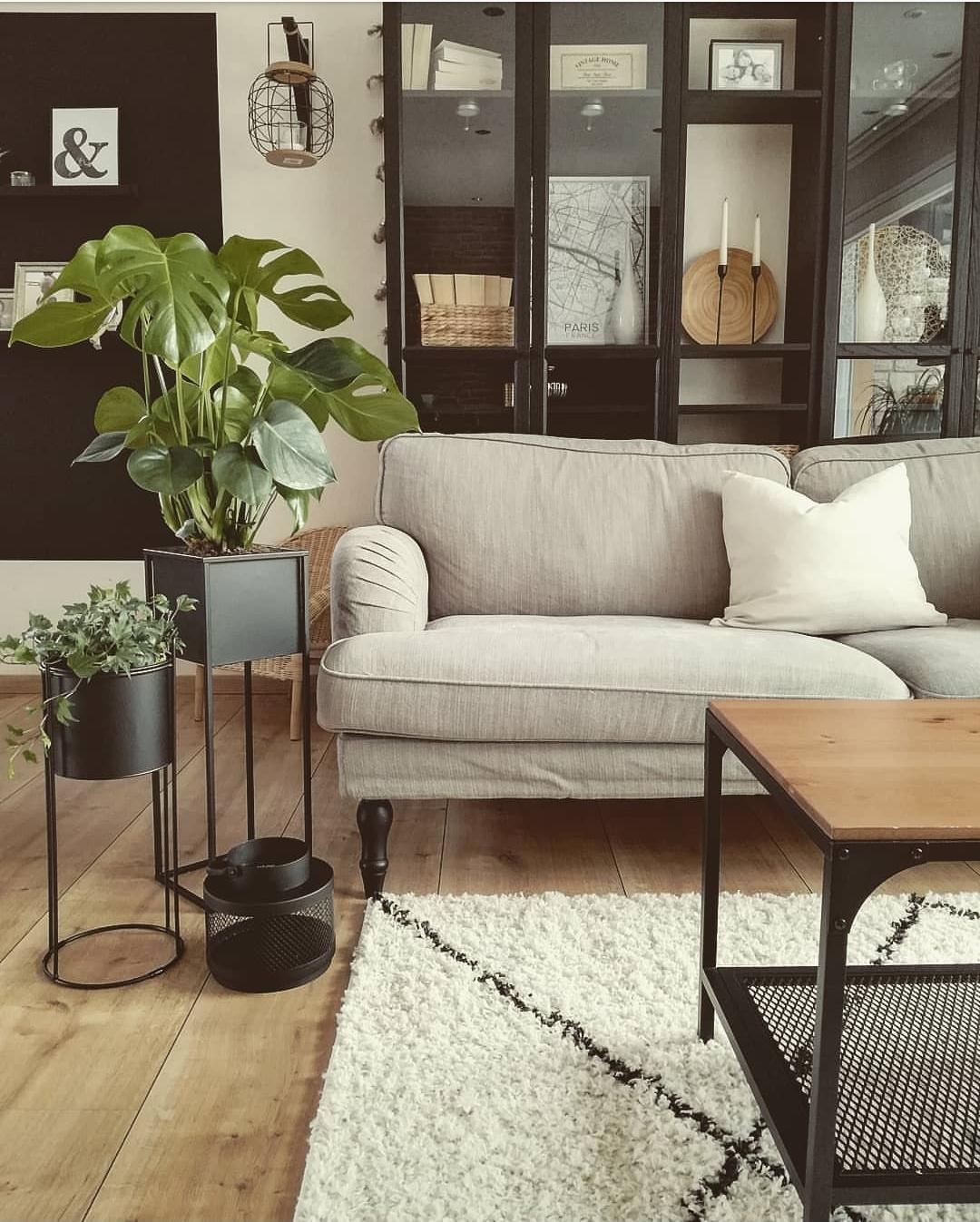 Grünpflanzen gehören für mich einfach zu einem gemütlichen Zuhause dazu 🖤🌱 #pflanzen #couchliebt #bücherregal