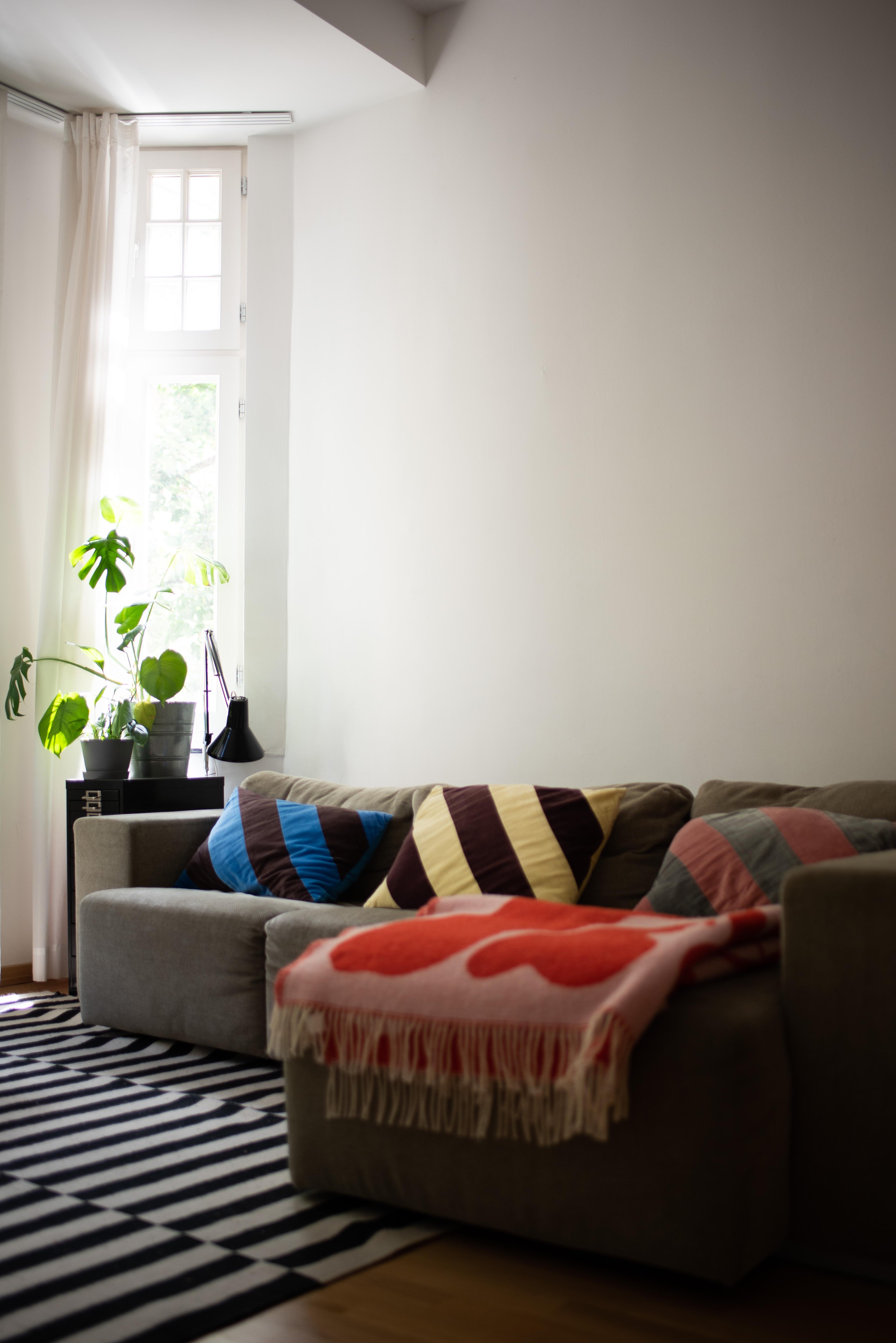 Grüße vom Sofa! #sofa #wohnzimmer #interior #cozyplace #cozycorner #altbau #colourful