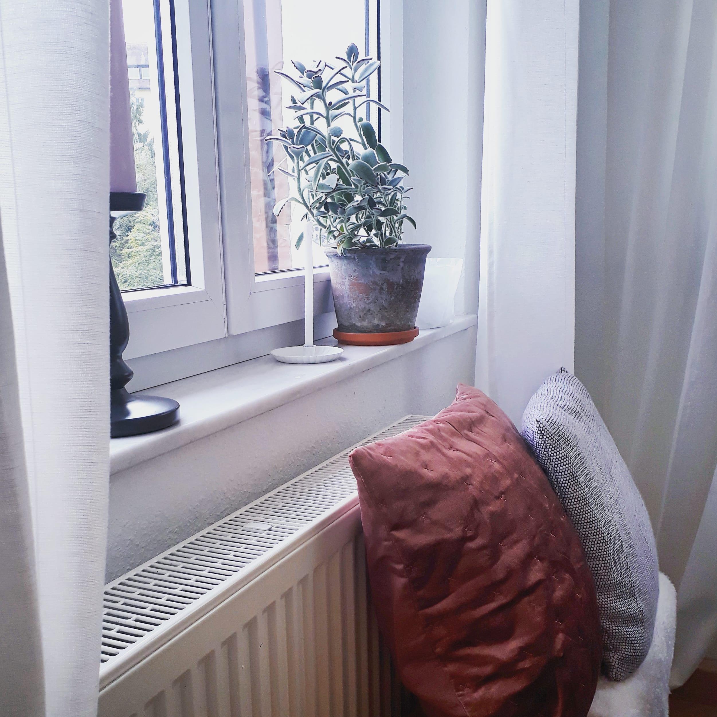 Gut zum Träumen - Fensterplatz 
#window #plantlove #wohnzimmer 