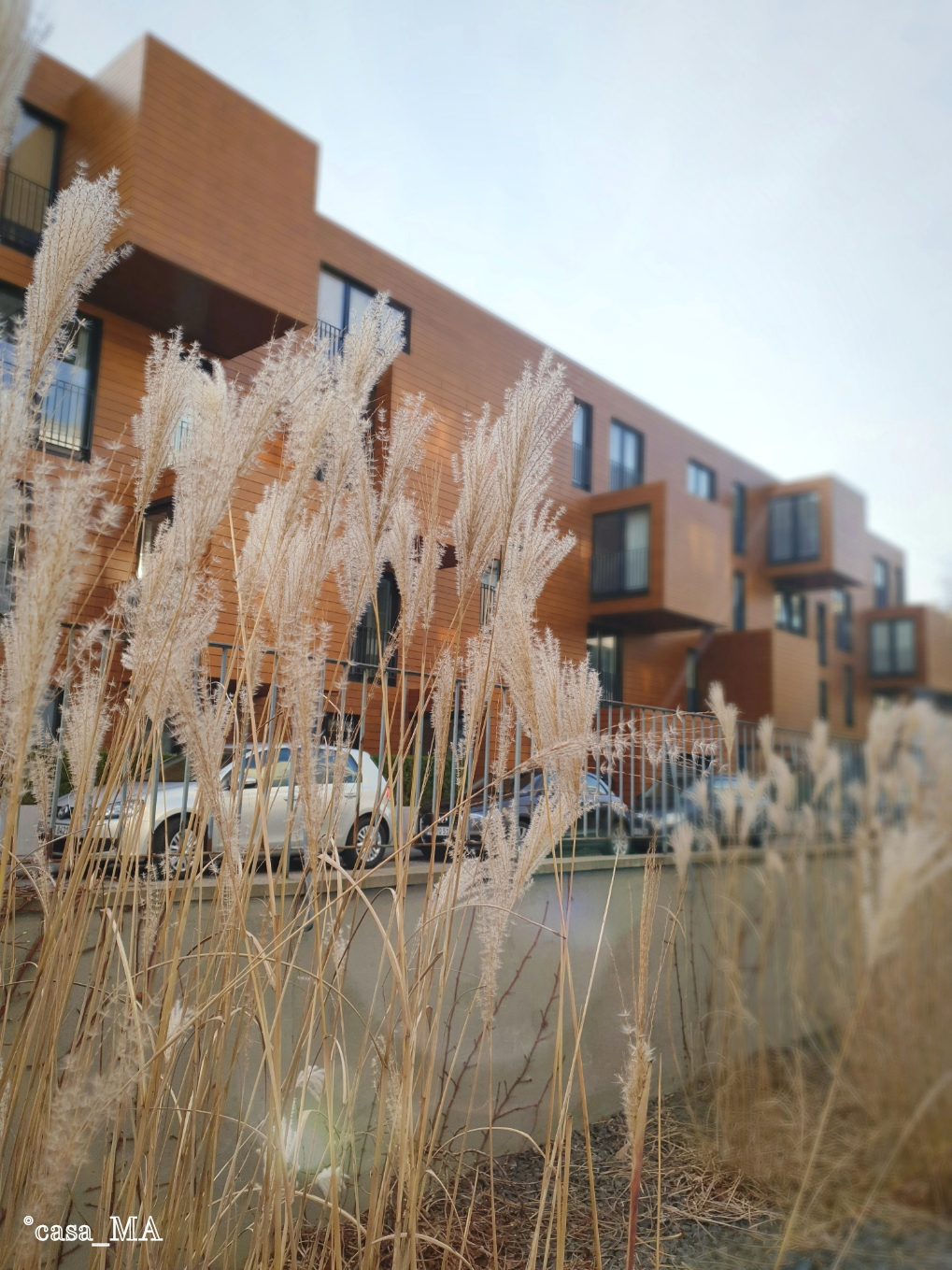 Gute Nachbarn! #architektur #gräser #fassade