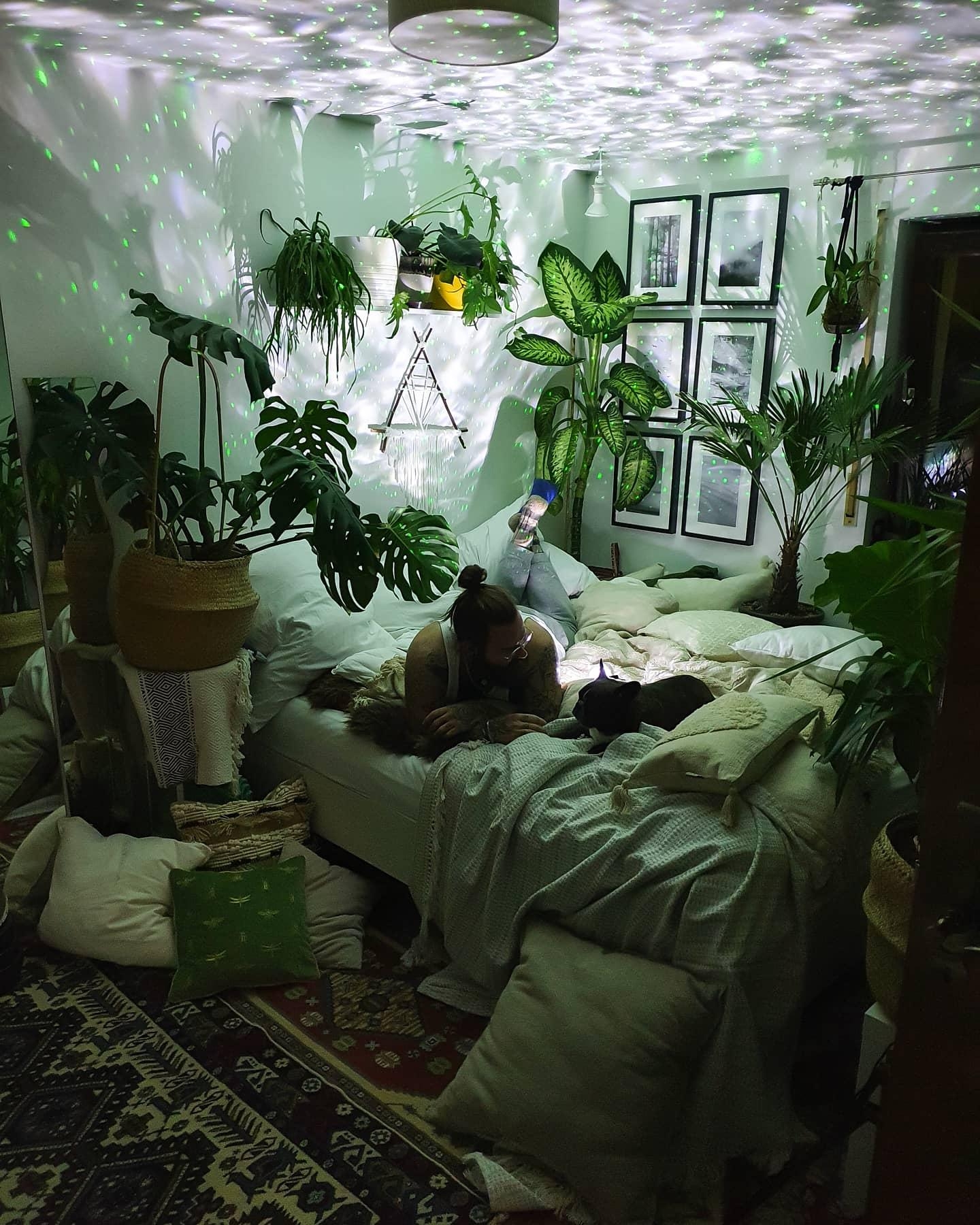 Gute-Nacht-Geschichten 💤📚 #schlafzimmer #pflanzen #galaxie