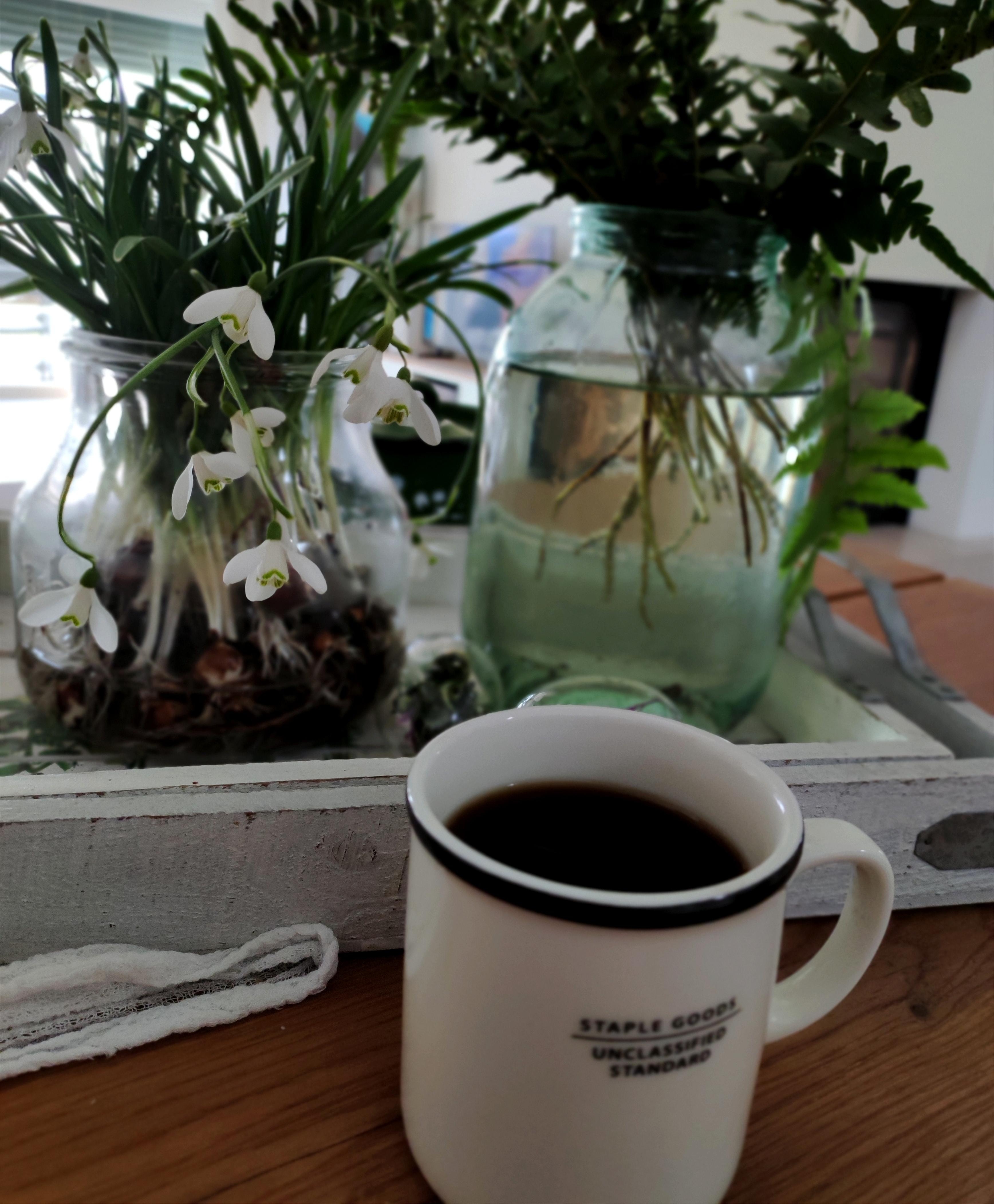 Guten Morgen 🌿💚 #foodchallenge #coffeelover #schneeglöckchen 