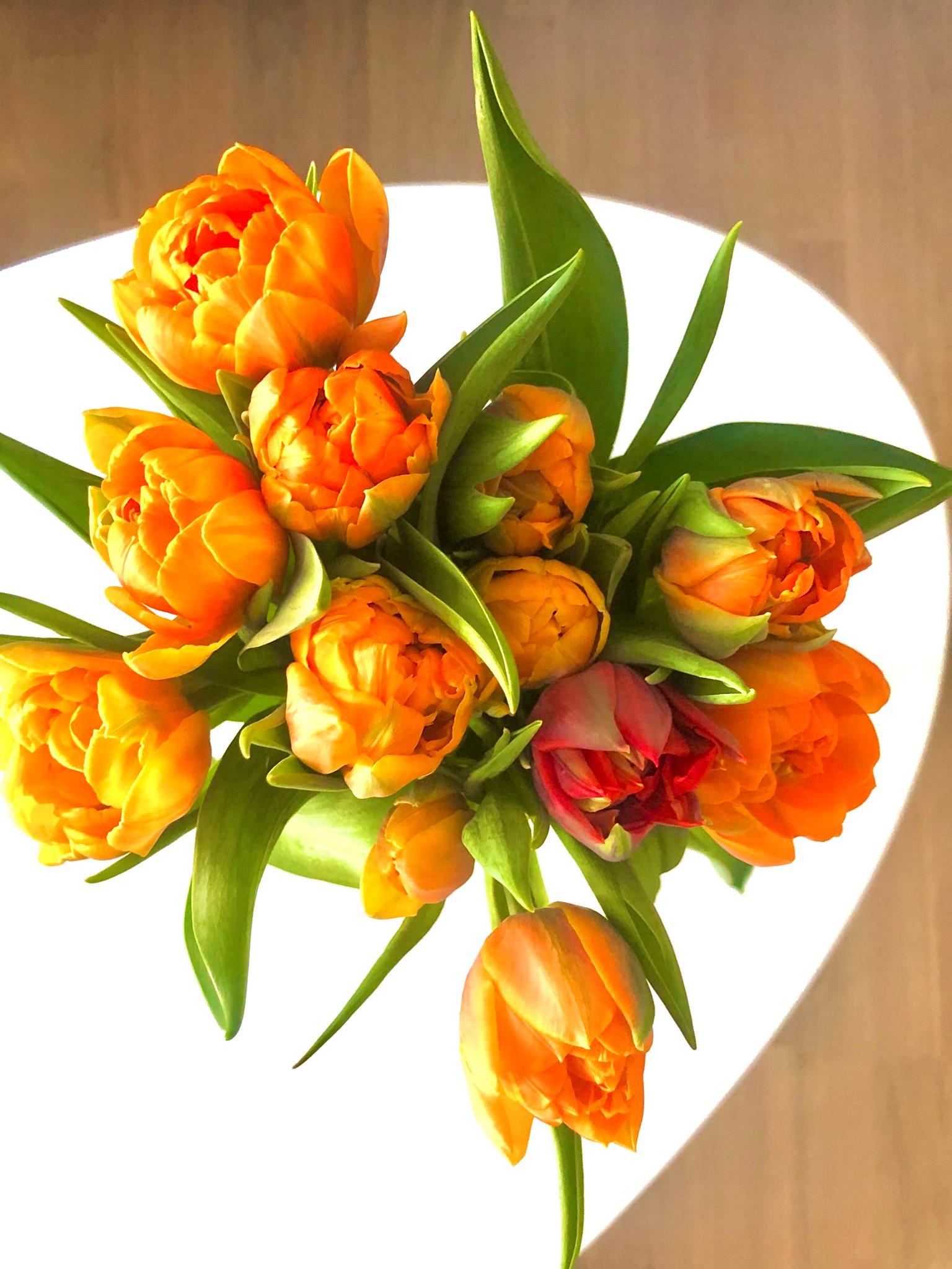 Guten Morgen ☀️. Heute ist zwar noch nicht #freshflowerfriday, aber Zeit und Raum verfliegt ja im Moment... #tulpen   