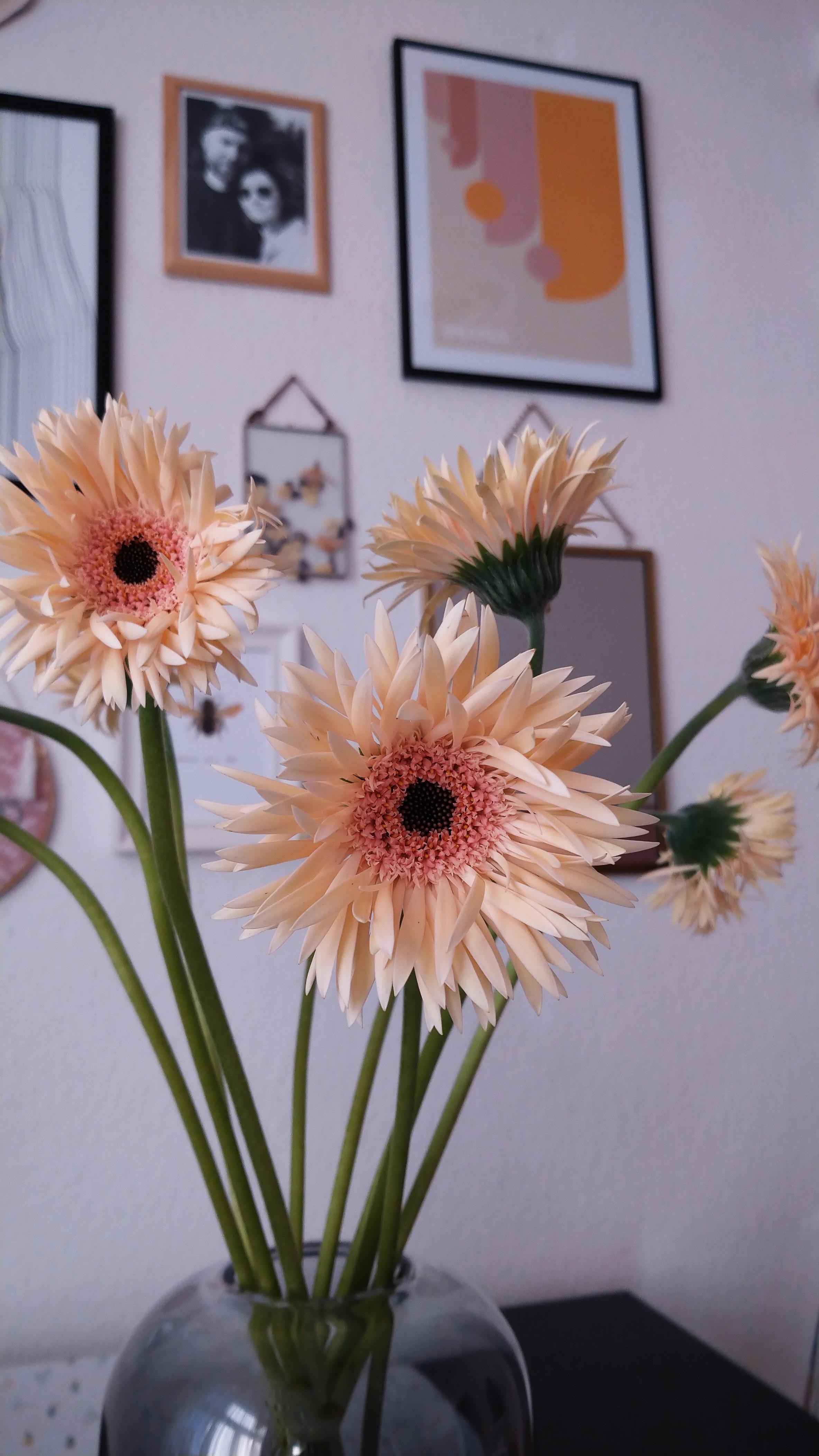 Guten Morgen ihr Hübschen 💕💮🥰
#Freshflowers #Bauhaus #Bilderwand 