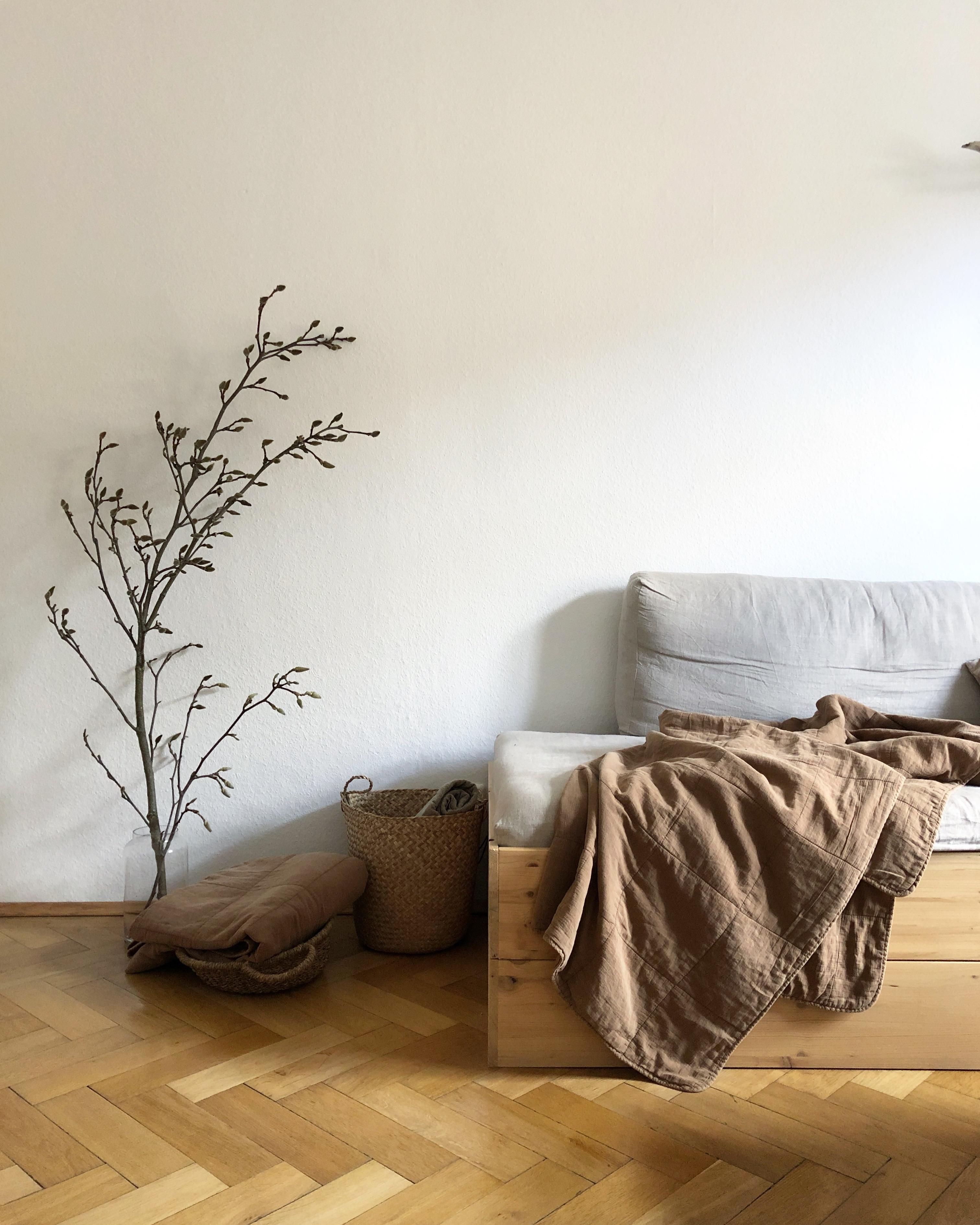 Guten Morgen von meiner #magnolie und mir 👋🏼 #wohnzimmer #sofa #diy #altbau 