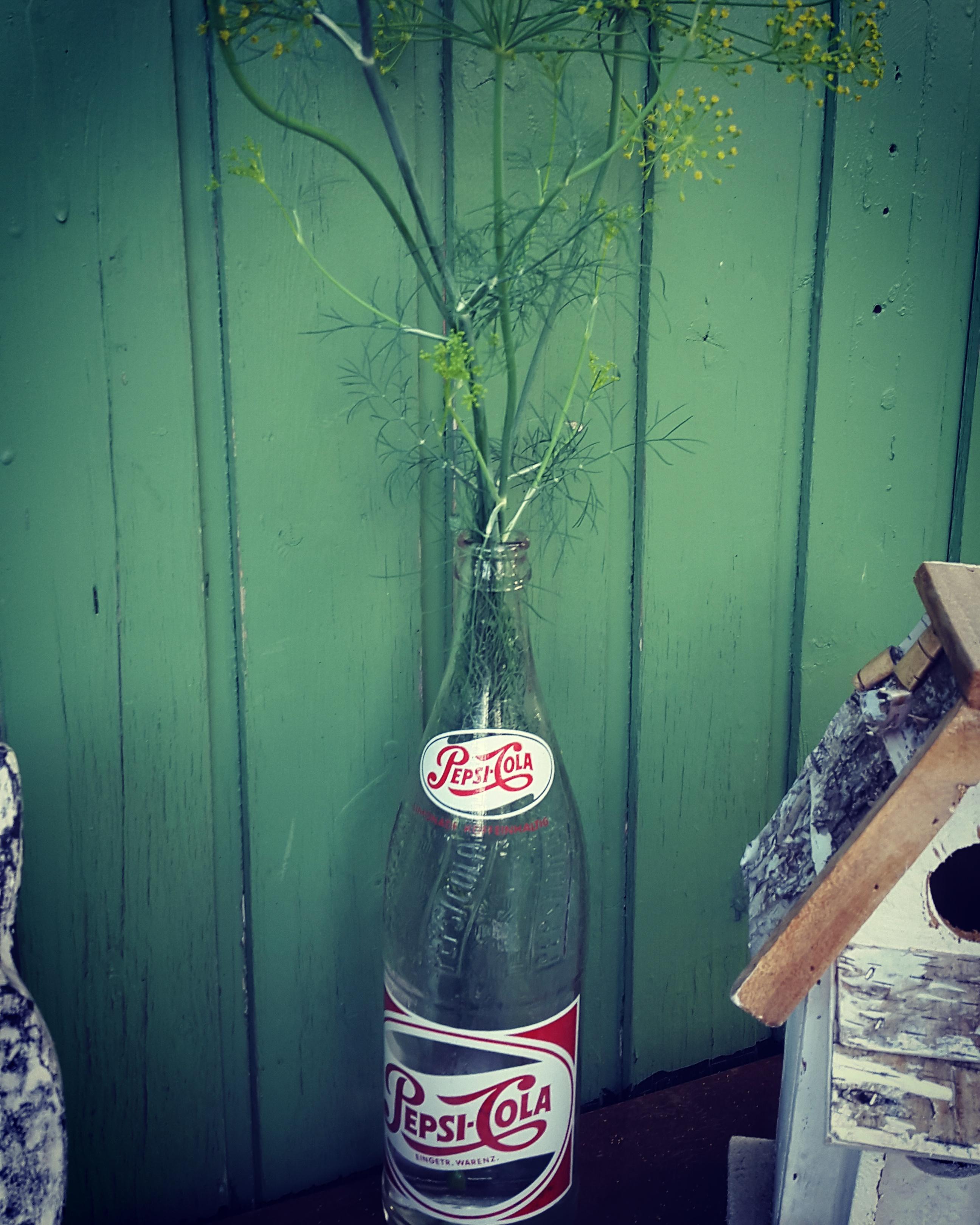Habe eine alte Pepsi Flasche auf dem Trödelmarkt gefunden und in meinem Garten integriert.
Ich liebe Trödelmärkte 