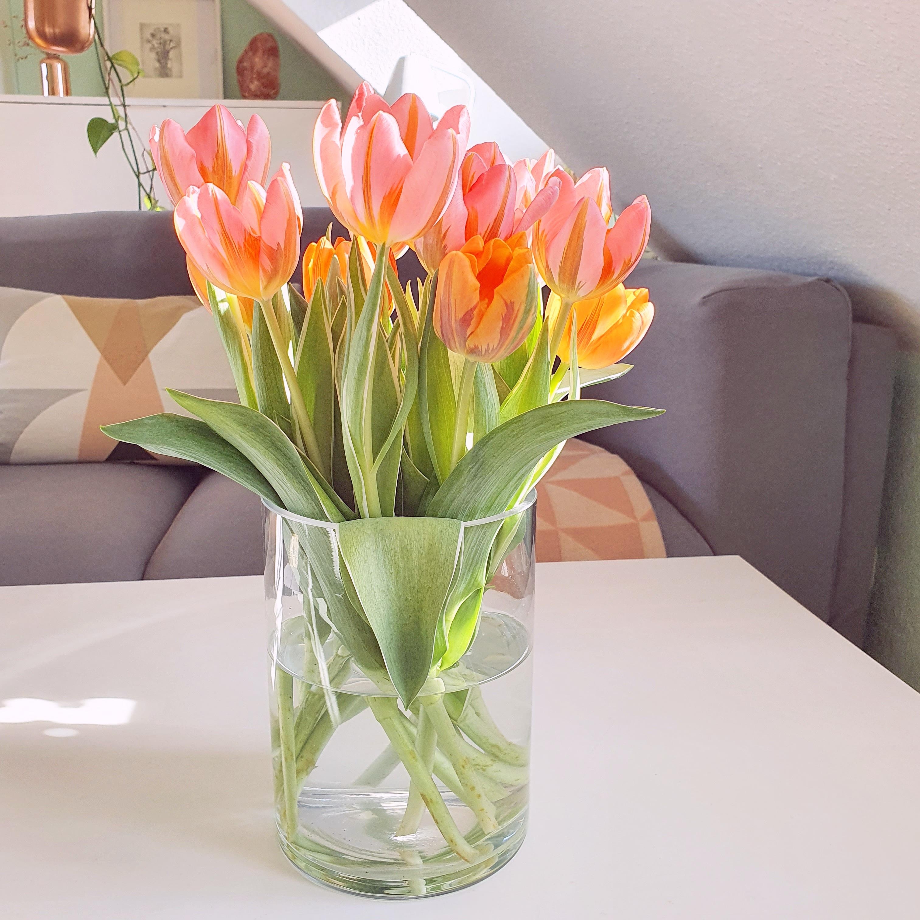 Habt einen schönen sonnigen Sonntag! #tulpen #tulpenliebe #blumenstrauß #wohnzimmer #sonnig 