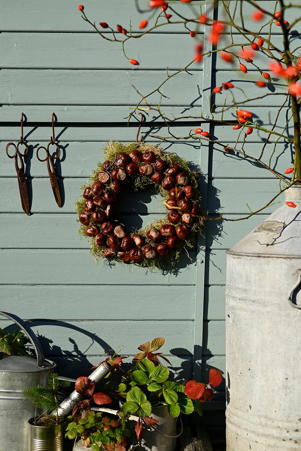 #hagebutten und #kastanien für die #gartendeko 

#diy #kranz