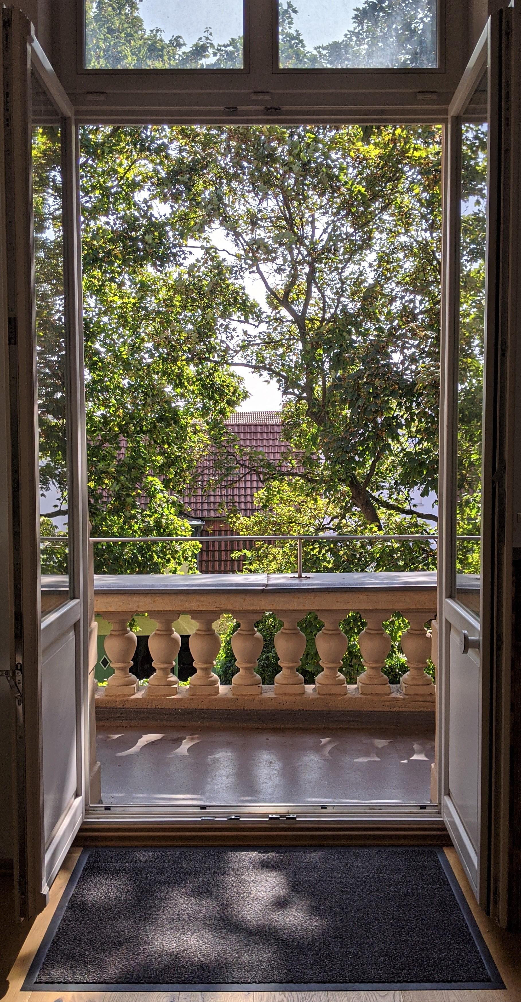Hallo Ausblick ! #villa#ausblick#balkon#altbau#blickinsgrüne#windowview#gardenview#kleinstadtidyll#stadtoase