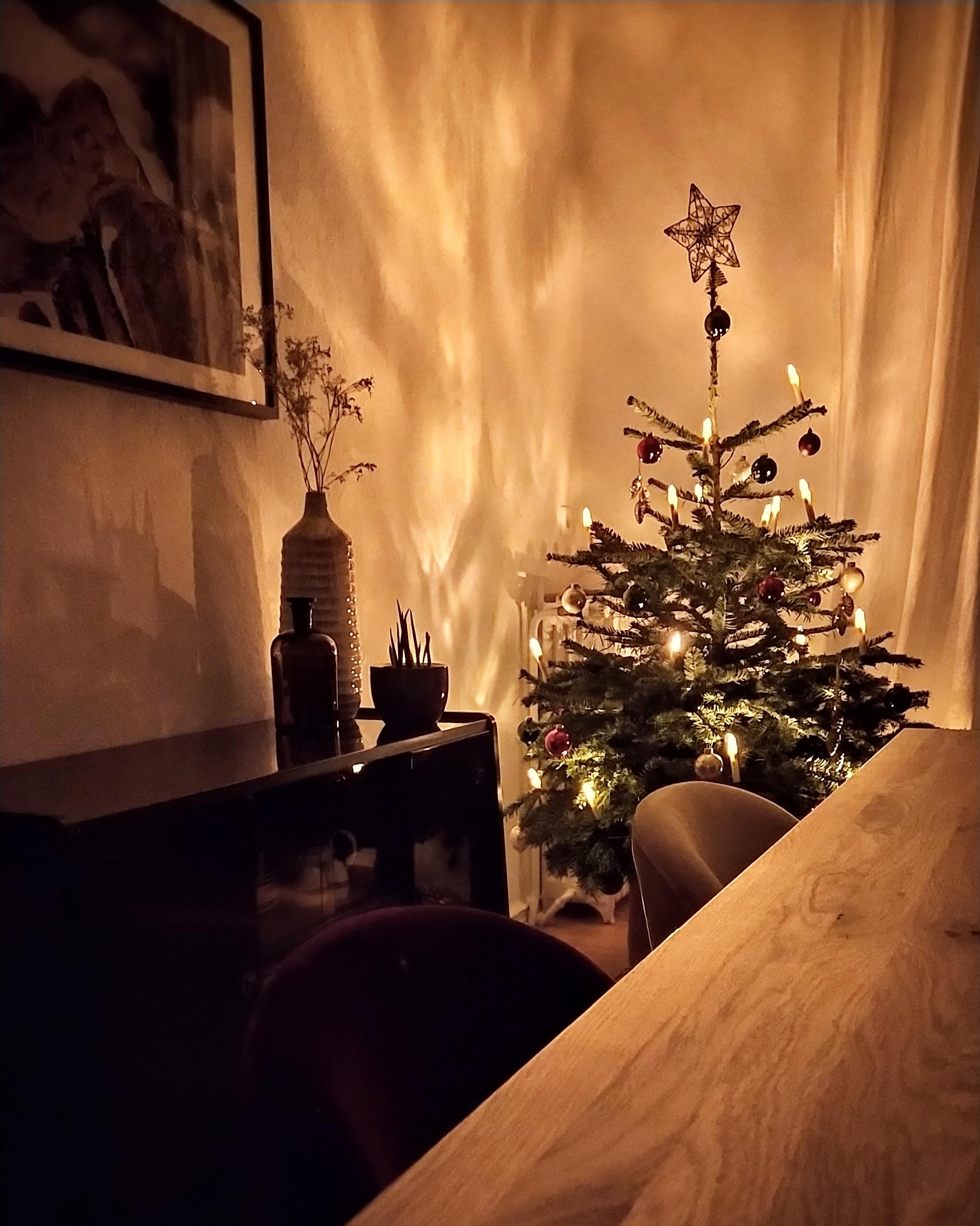 Hallo du kleiner süßer Tannenbaum. #esszimmer #weihnachten #altbau #tannenbaum #licht 