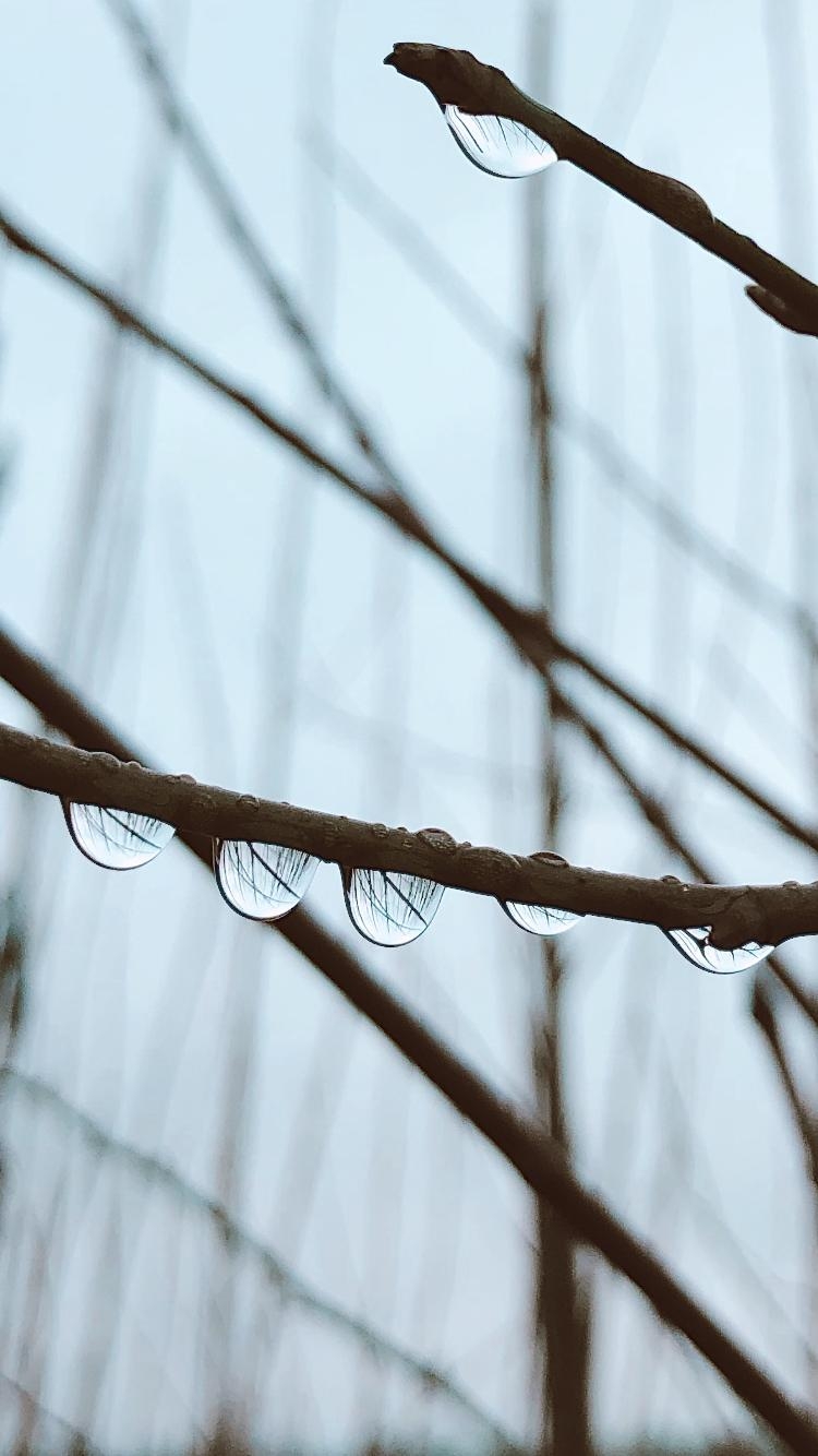 Hallo erster Dezembertag ⭐️ Warum so grau und nass? #natur #dezember #fotografie #regentage