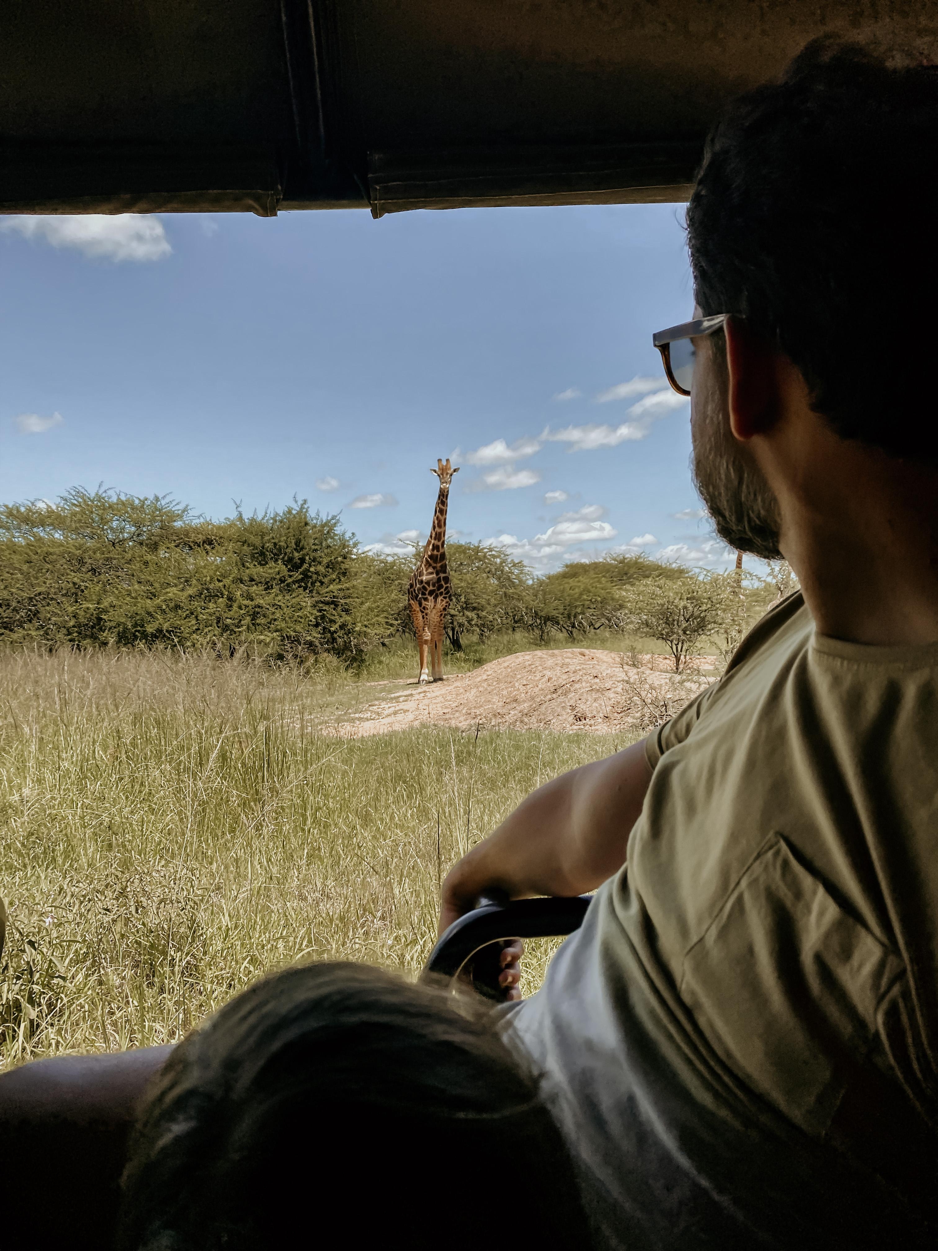 Hallo Heimat!!! So kann man 2023 starten! #sudafrika #heimat #safari #bushlife 