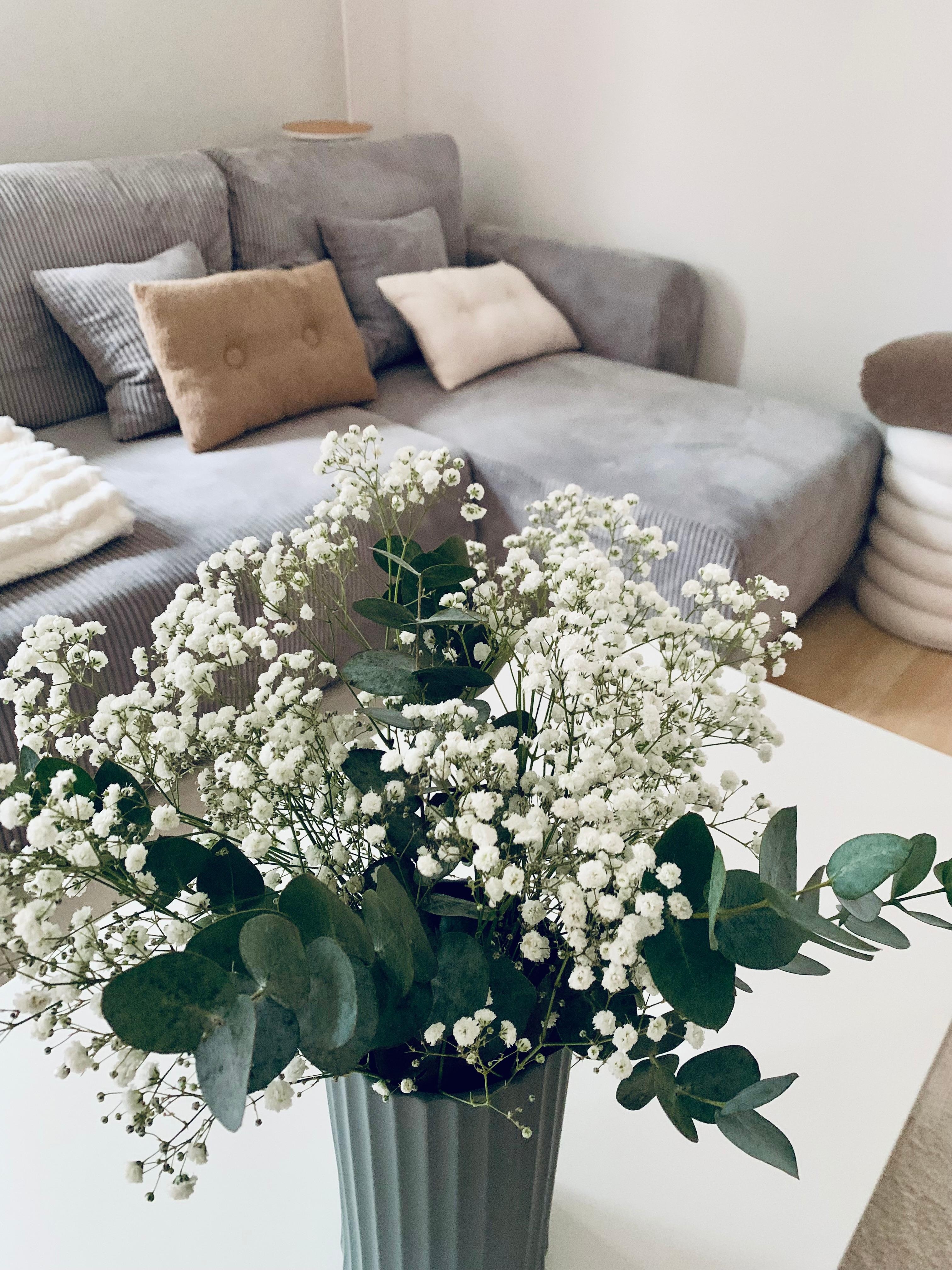 Hallo Januar 🌬️
#blumen #freshflowerfriday #couch #wohnzimmer #interior #cord #inspo 
#januar 