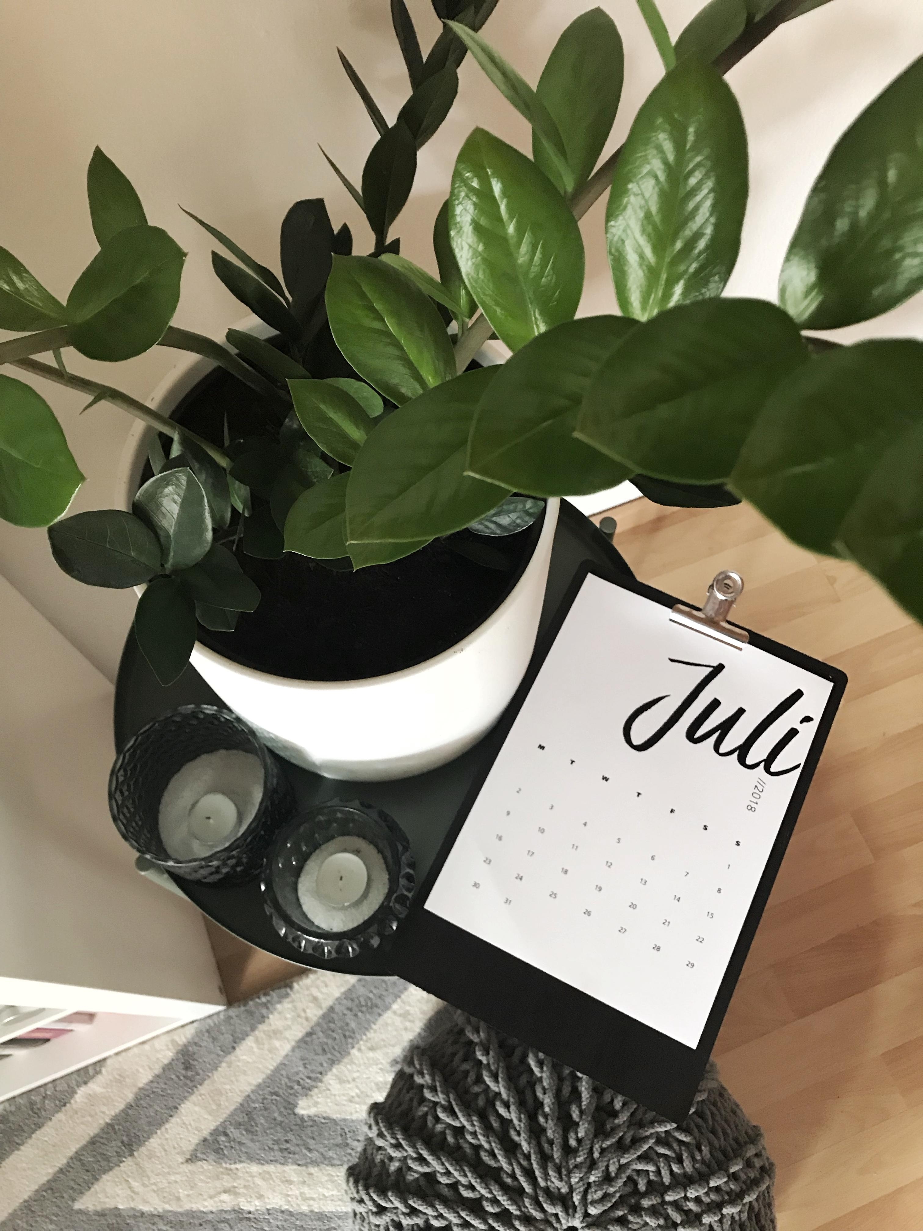 Hallo Juli! #interior #wohnzimmer #deko #pflanzen #kalender #zimmerpflanze #beistelltisch #sommer #living 