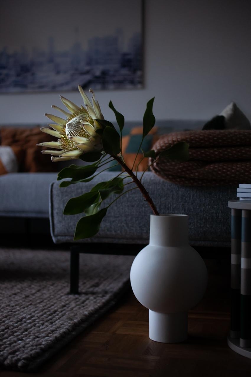 Hallo Schönheit!

#Vase #Vasenliebe #Prothea #Morgens #Wohnzimmer #Blumen