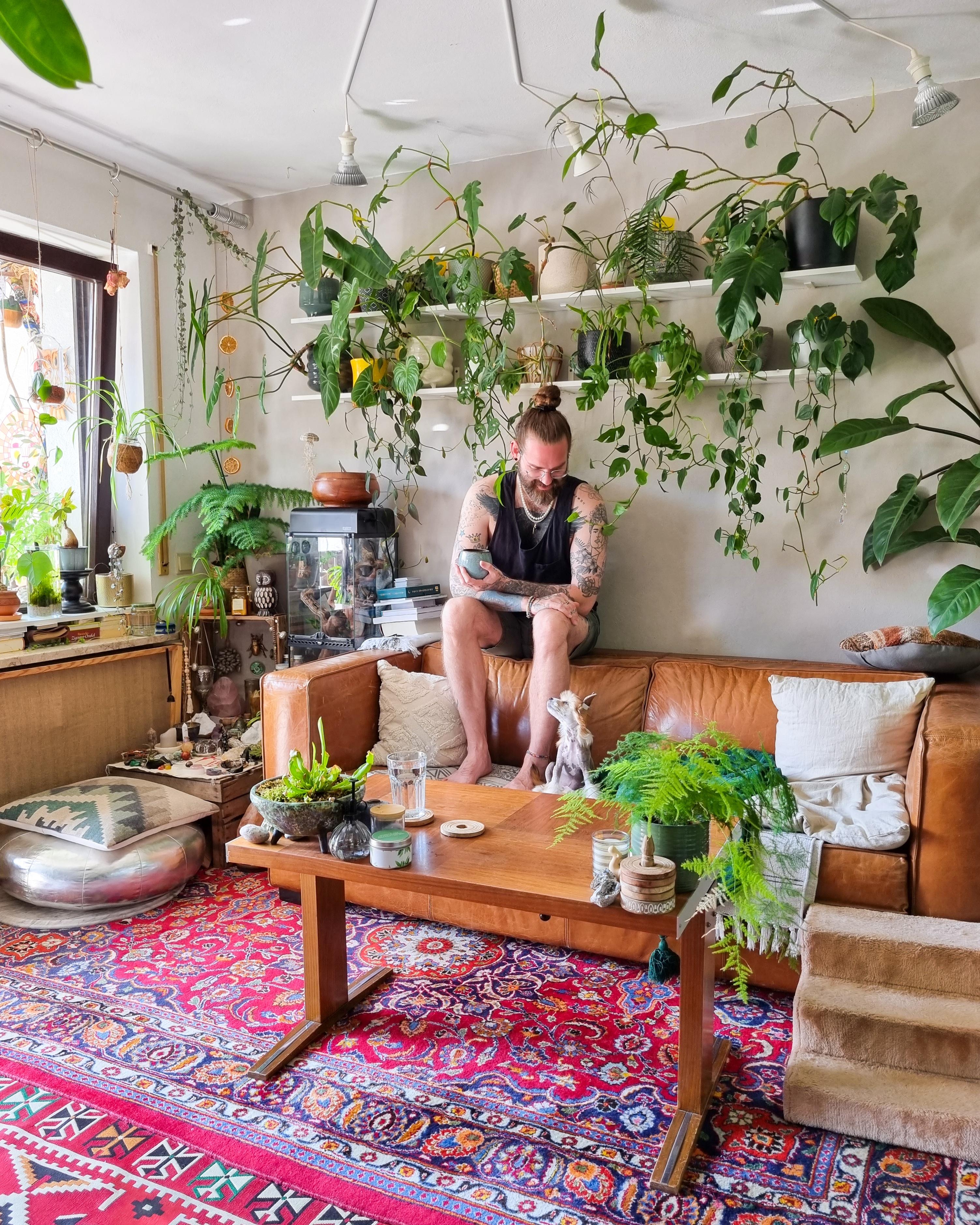 Hallo September ❤️☀️ Hallo June 🐶 #Wohnzimmer #Pflanzen #Regal #Tisch #couchtisch #Teppich #Terrarium 