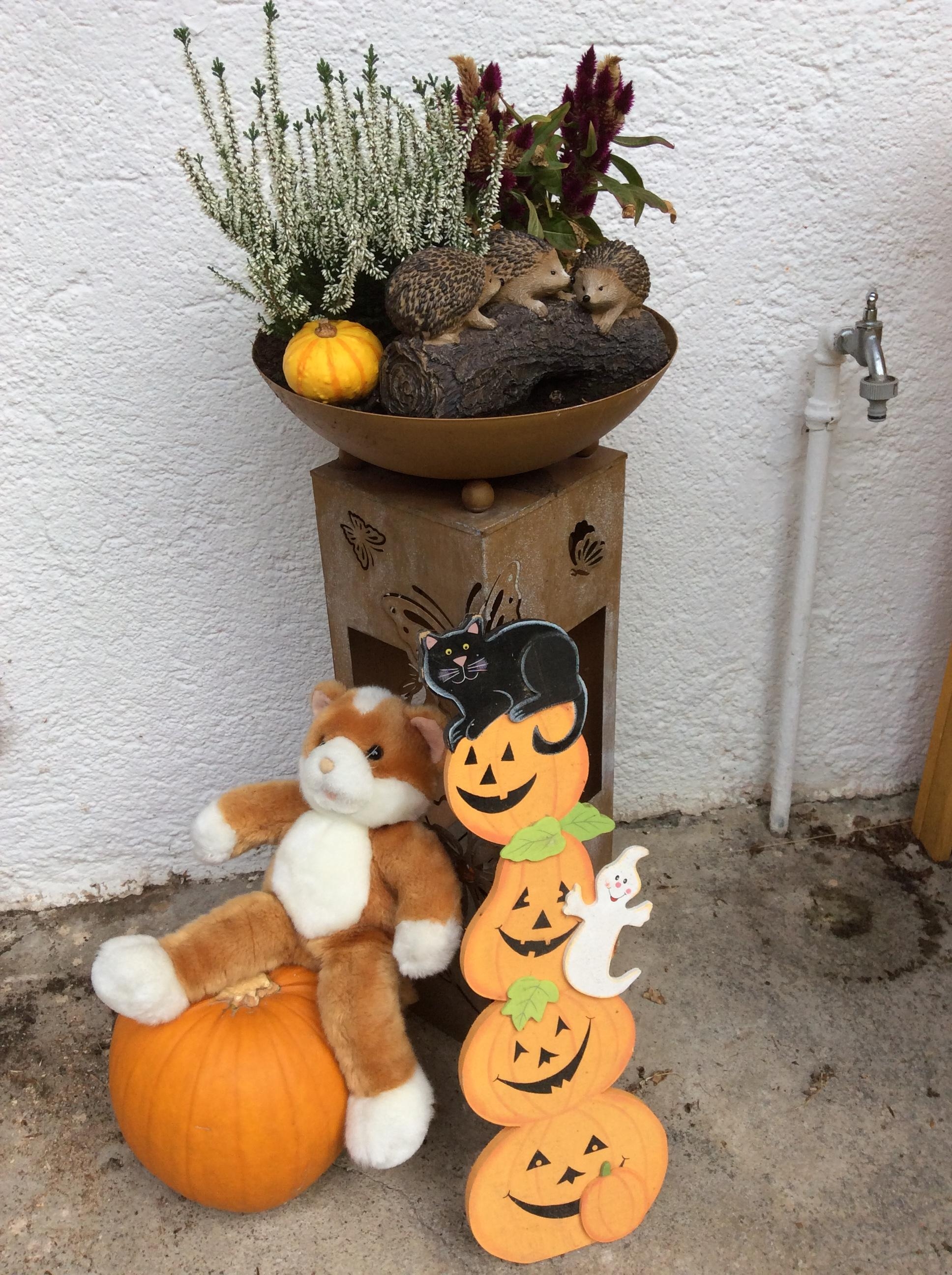 #Halloween 
Deko vor der Haustüre.....