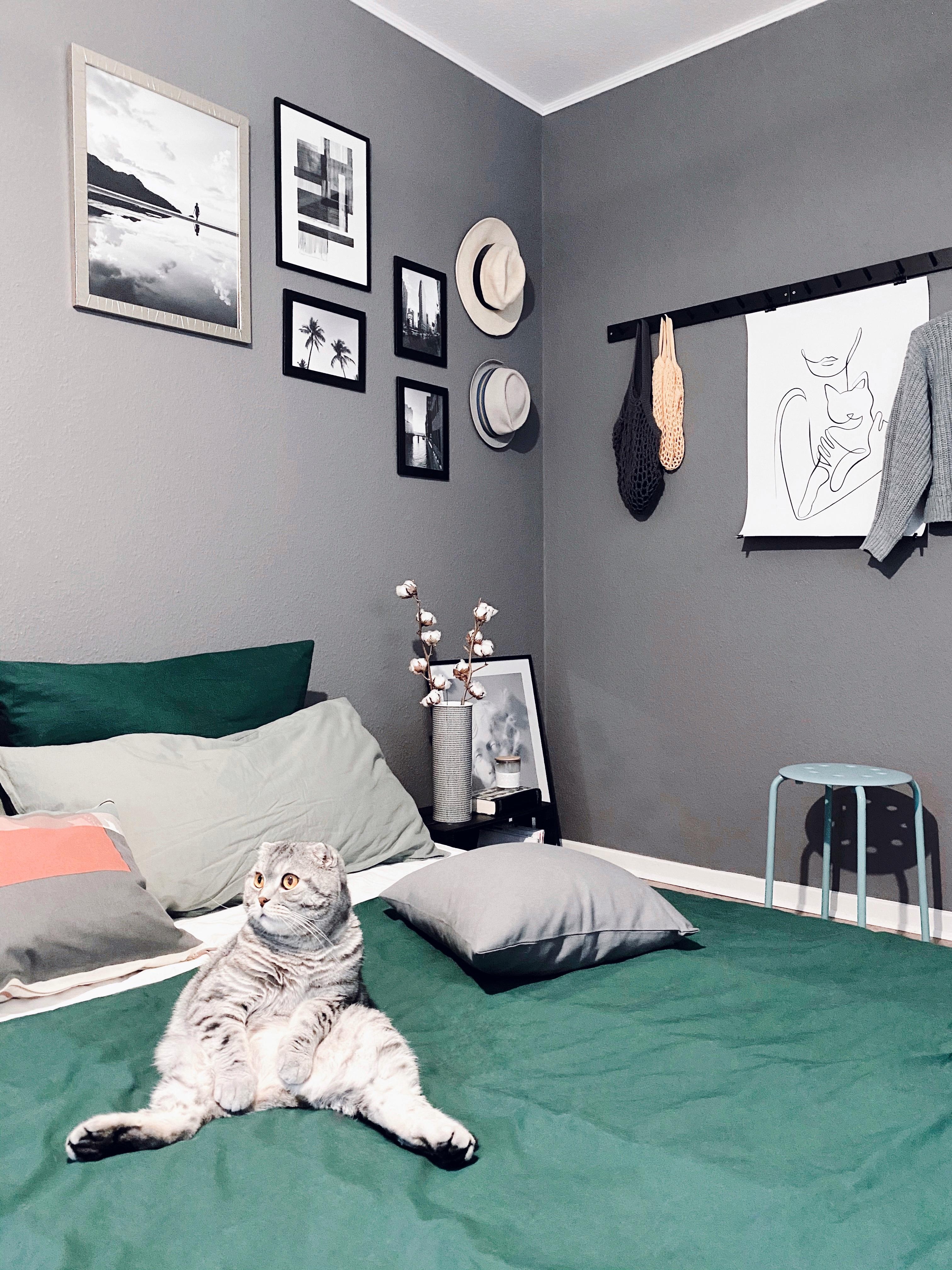 Happy Friday! 
#catlover #bedroom #mynordicroom #Interior #bedroominspo #hygge #monochrome