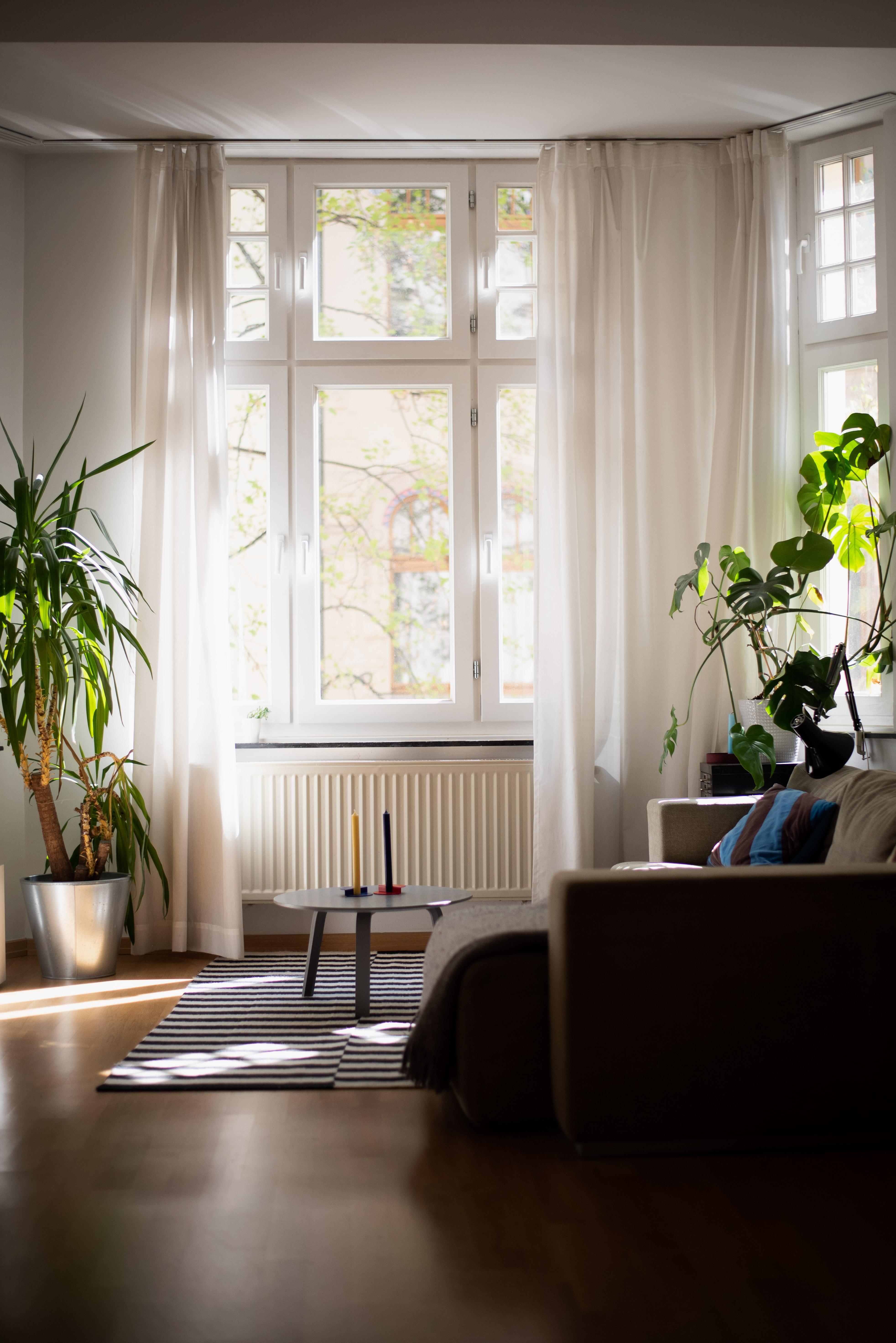 Happy Mittwoch! #livingroom #wohnzimmer #interiorinspo #cozyplace #interior #pflanzen #urbanjungle #altbau