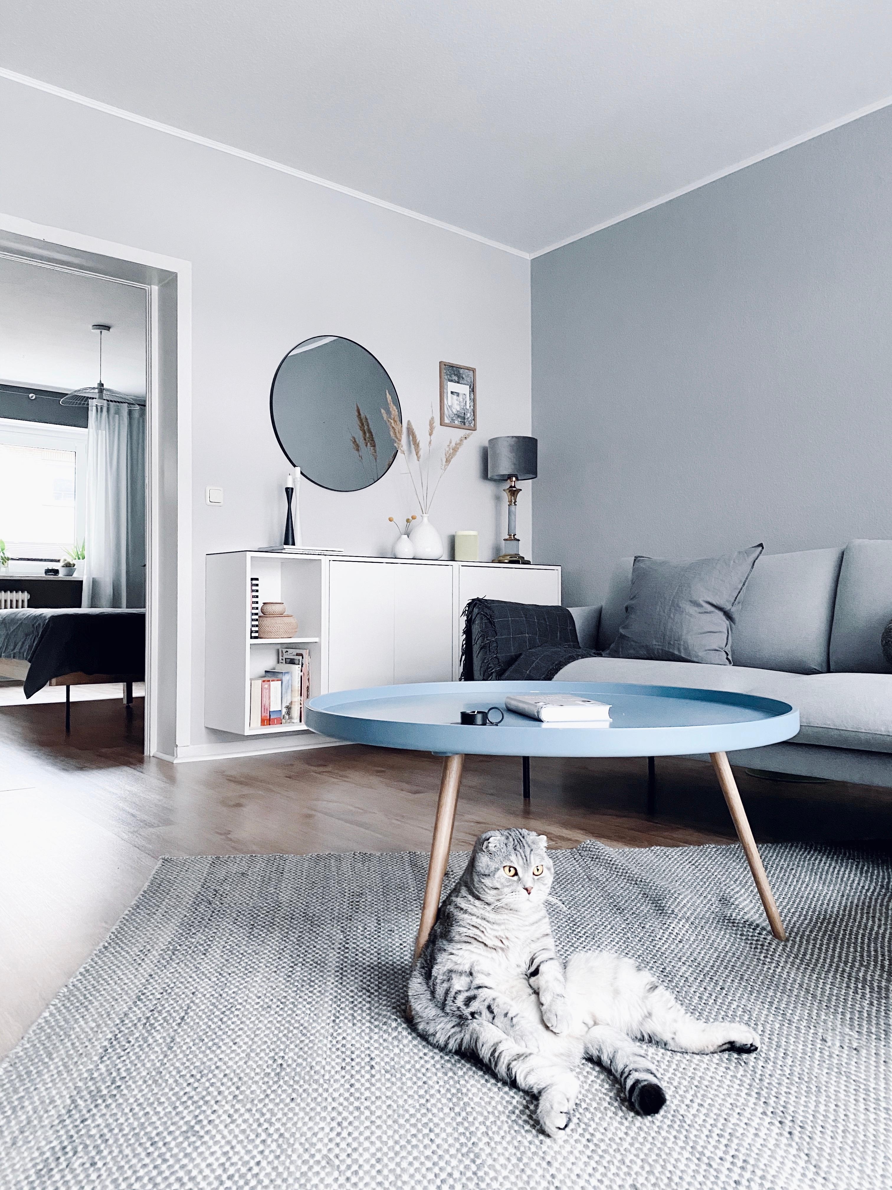 Happy Saturday! 🤍
#livingroom #mynordicroom #interior #minimalism #catlover 