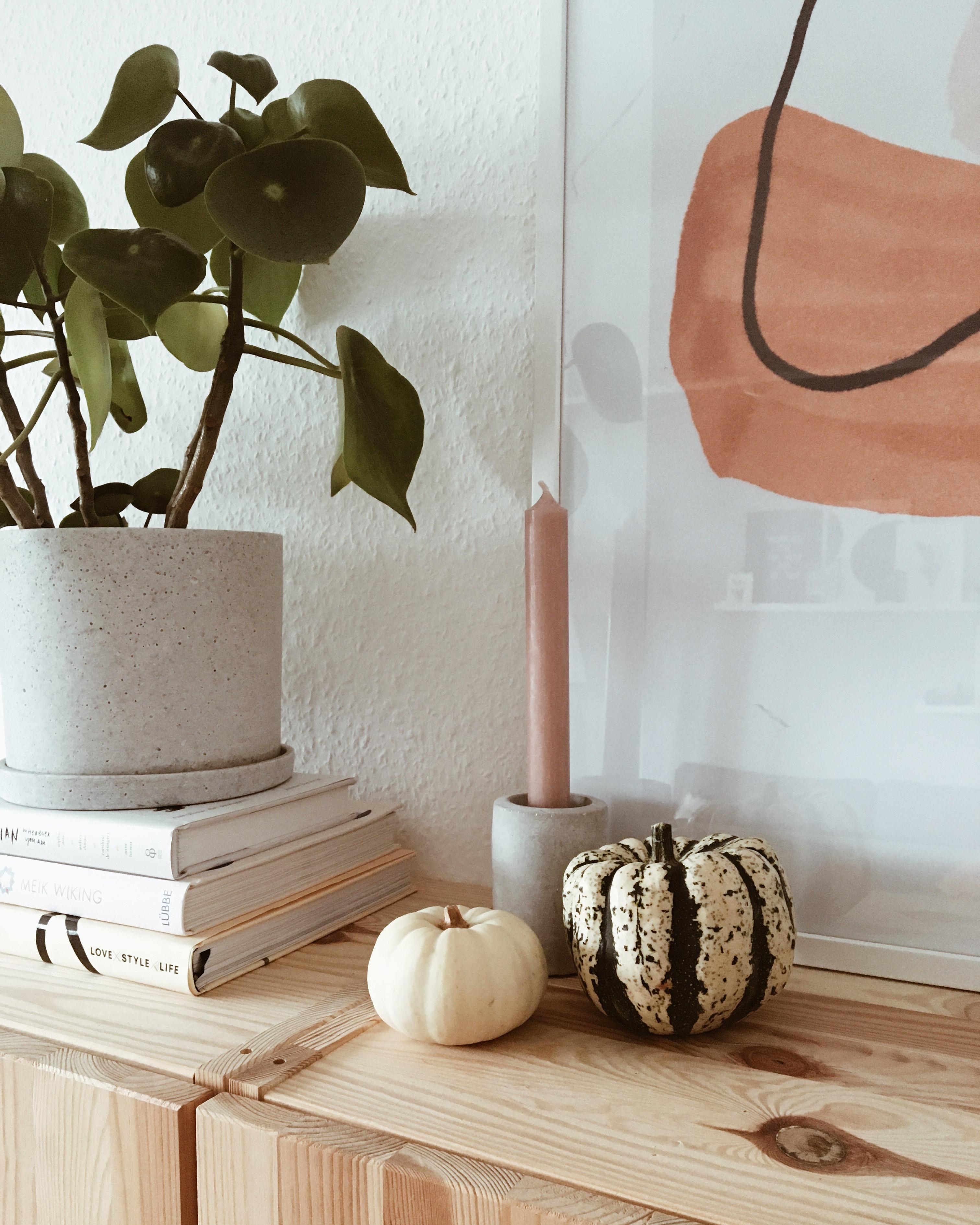 Happy Sunday 🧡
#autumndecor #autumncolours #livingroom #details #plants #home