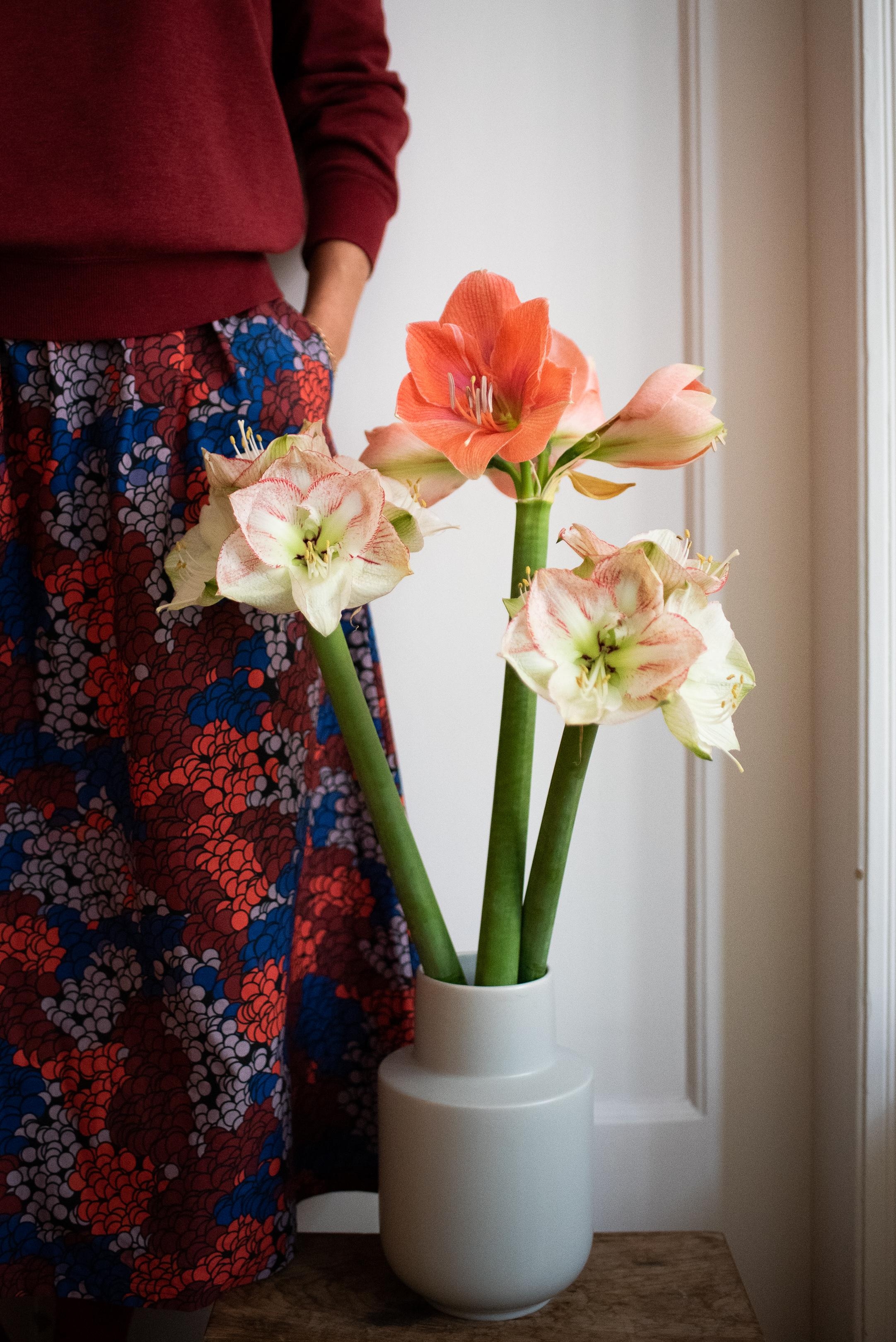 Happy Sunday! #amaryllis #freshflowers #fashioncrush #sundaymood