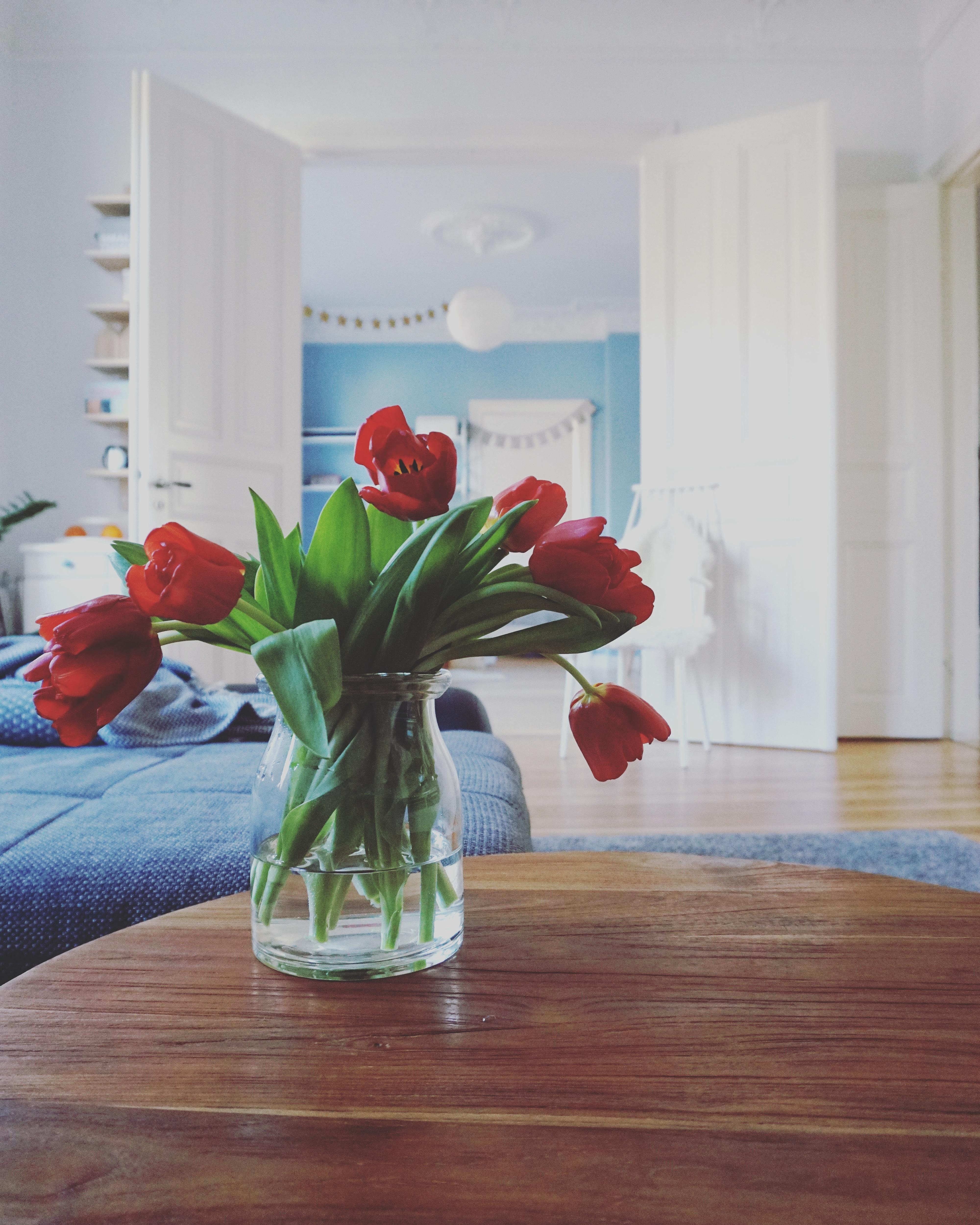 happy valentine ❤ #tulpen #wohnzimmer #altbau #altbauliebe #durchblick #flowerfriday 