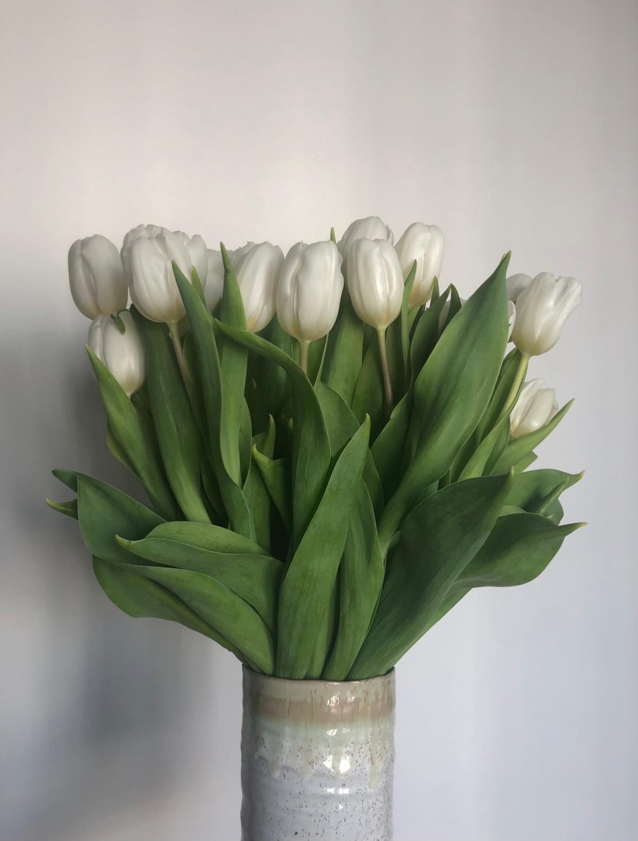 Hello Spring ☀️🐣✨ #tulips #tulpen #blumenstrauß #spring #frühling