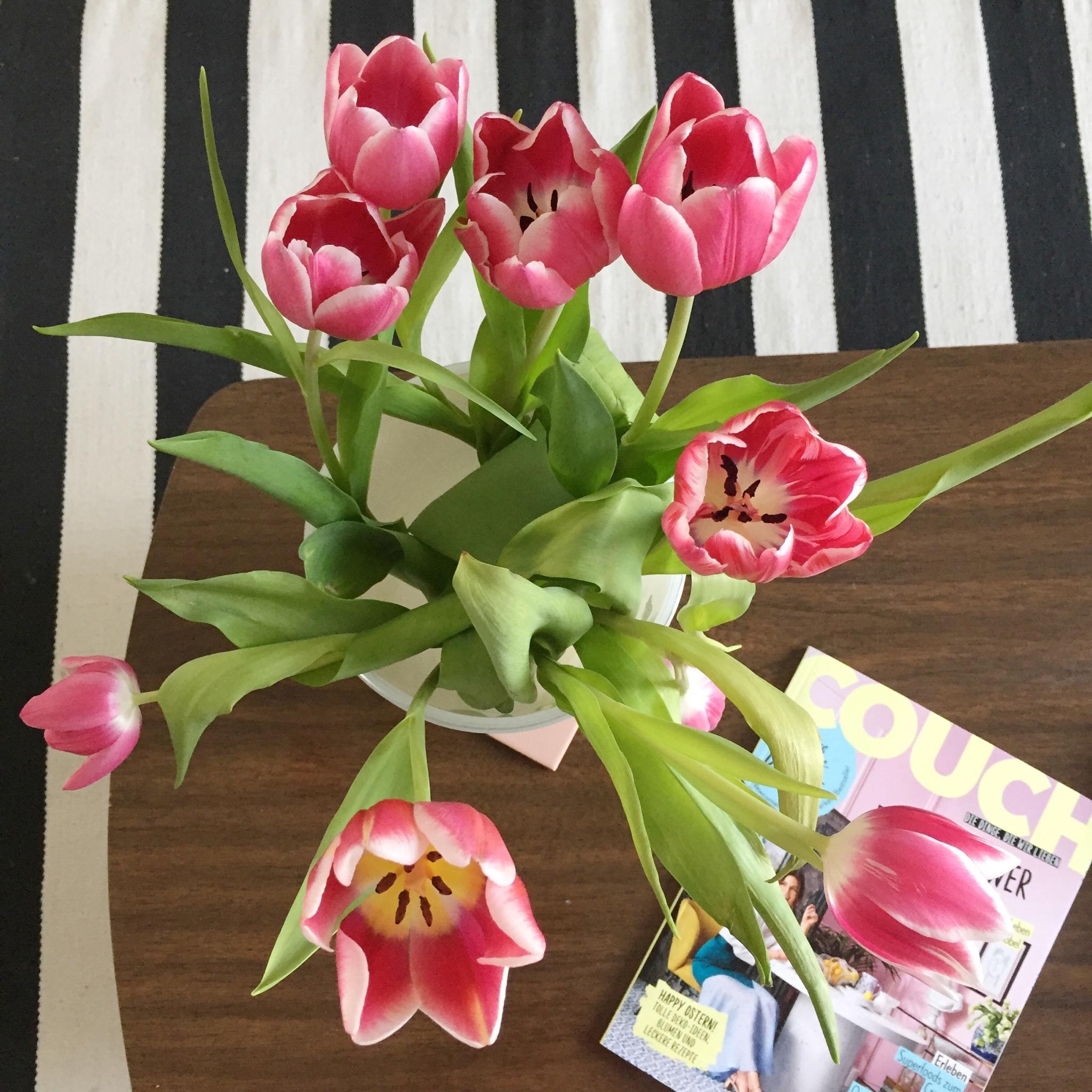 hello spring #tuliplove #tischdeko #wohnzimmer #couchmagazin
