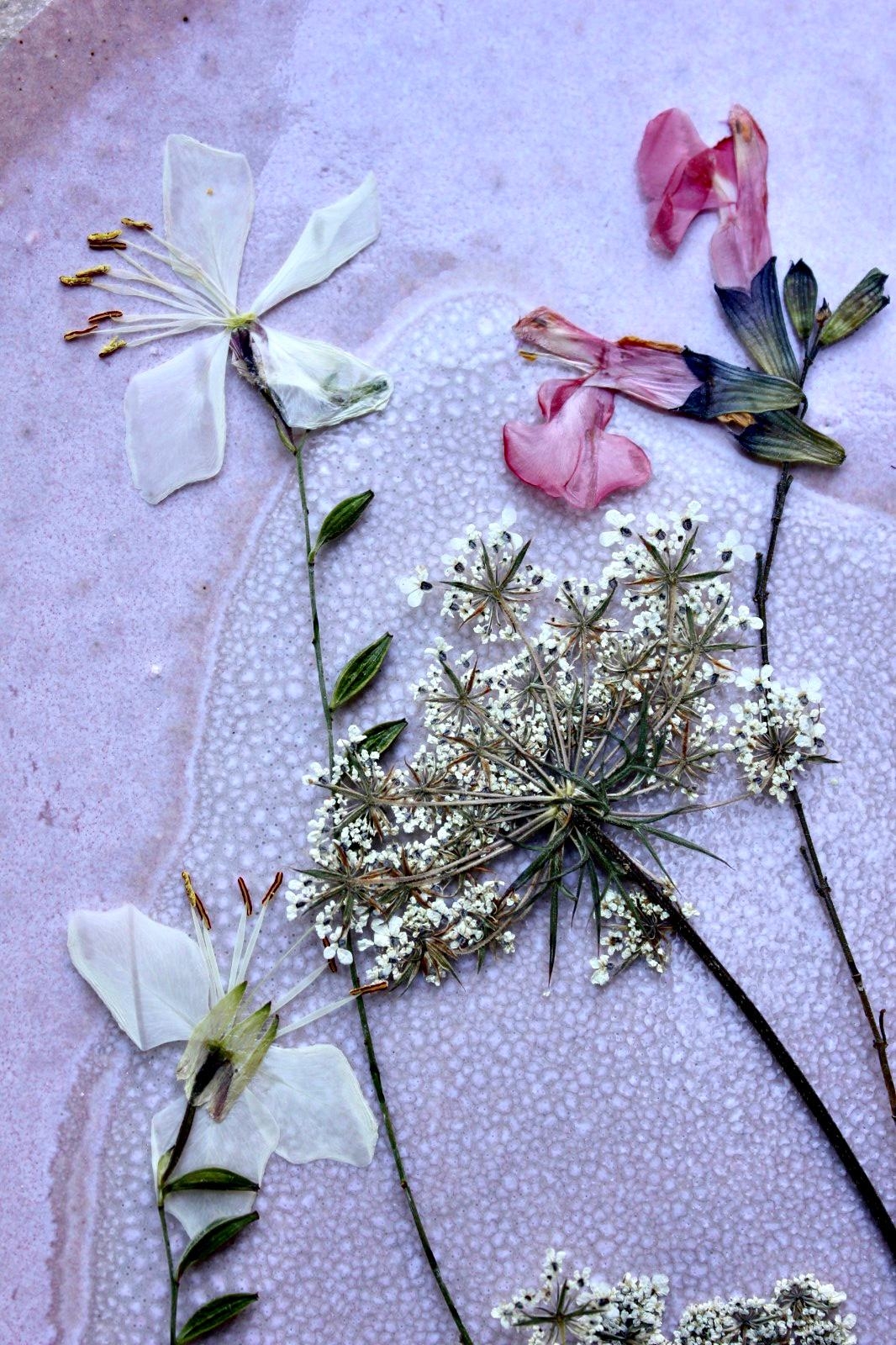 #herbarium #mitbringsel #urlaub #driedflowers #blumenpresse #couchliebt #couchstyle