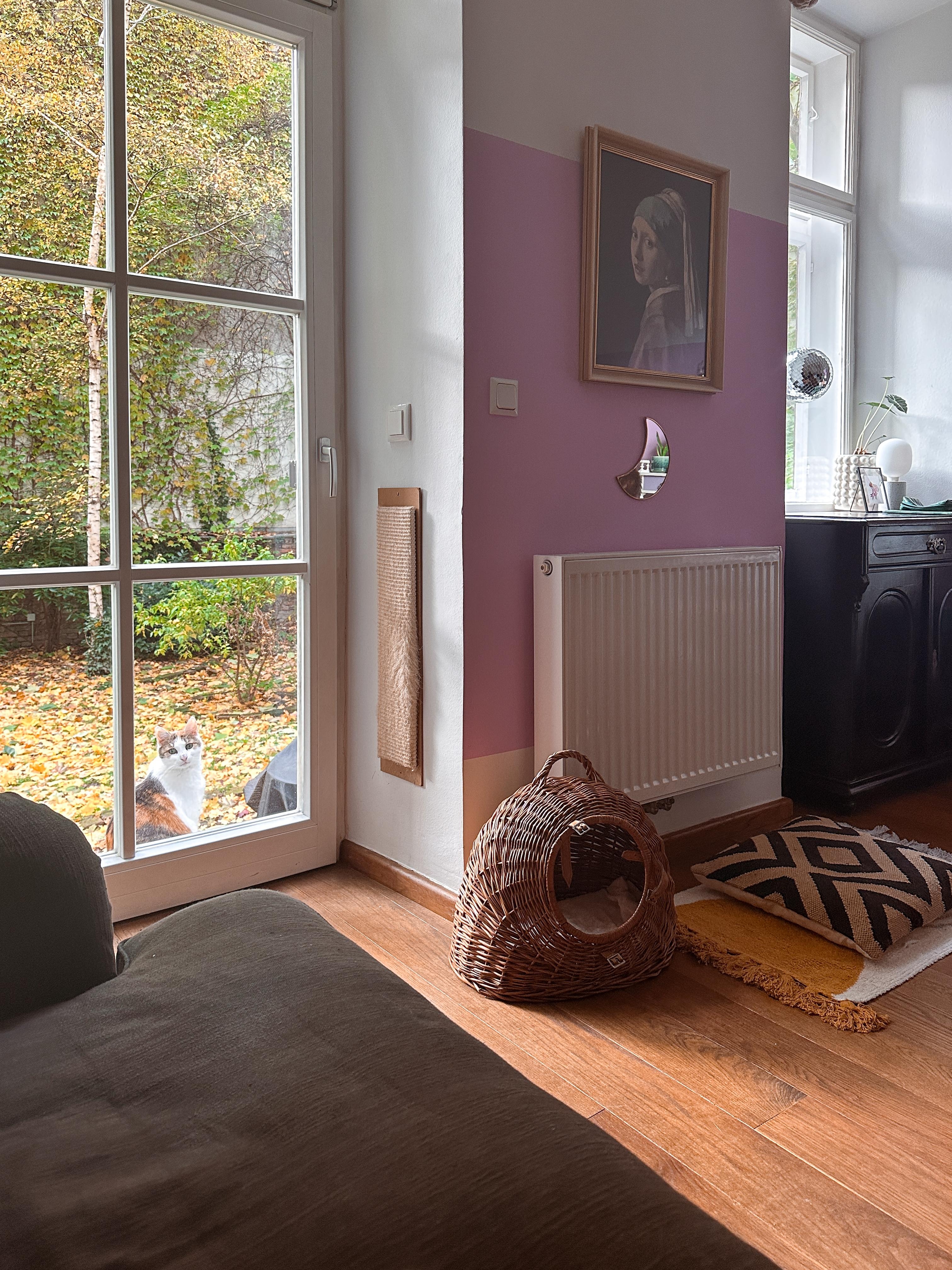 Herbst 🍂

#herbst #garten #ausblick #altbau #rosa #katze