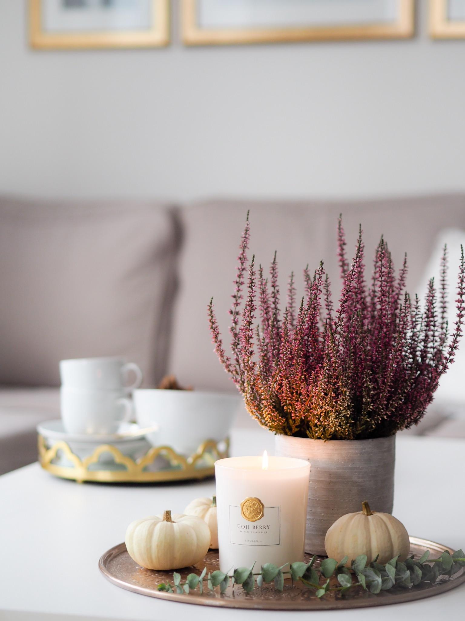 Herbst 🍂🍁
#myhome #cozy #herbstdeko #hygge #autumn #wohnzimmer #couchstyle