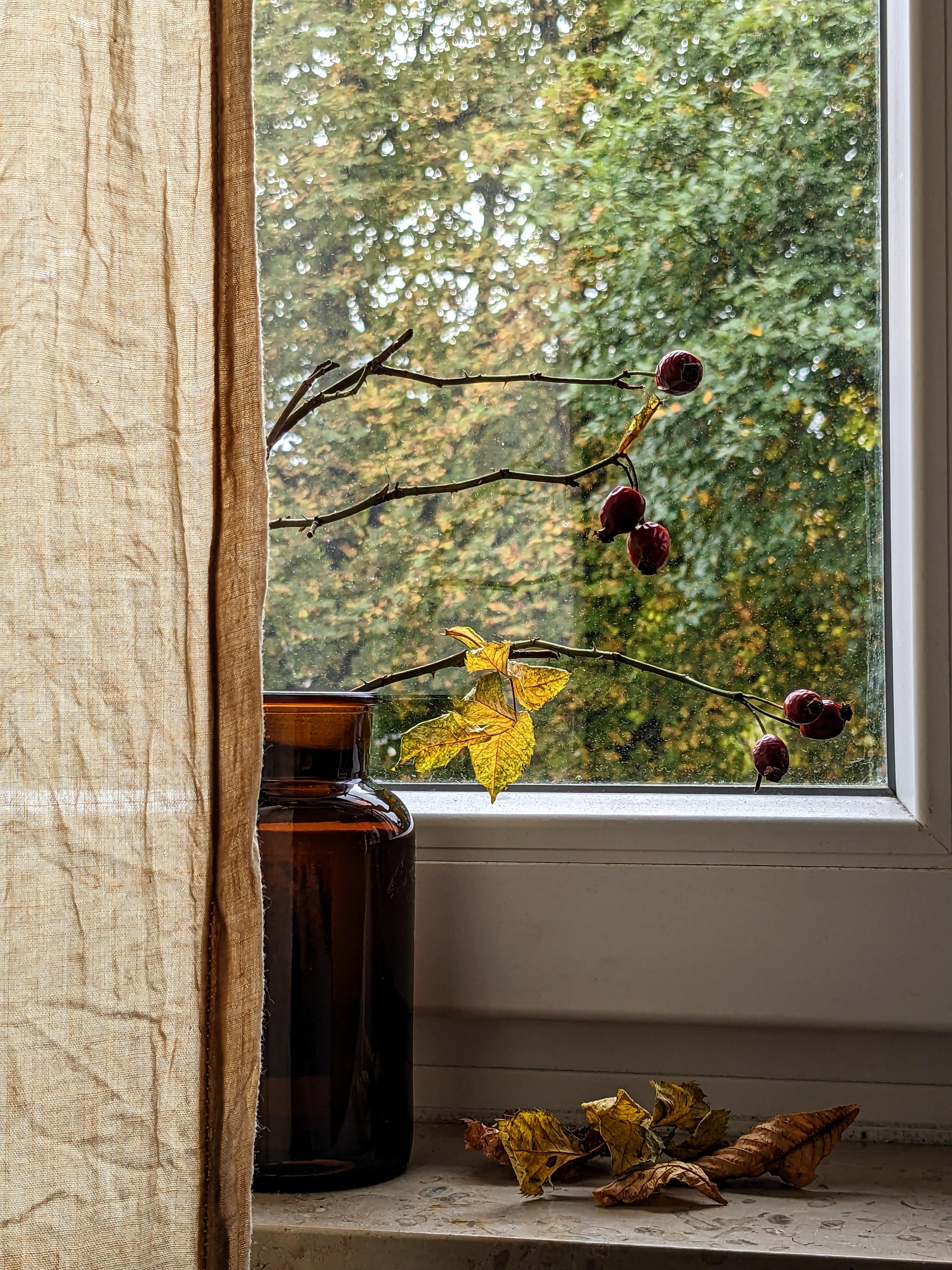 Herbstausblick.
#couchliebt #herbst #fenster #autumn #cozyliving #fallvibes