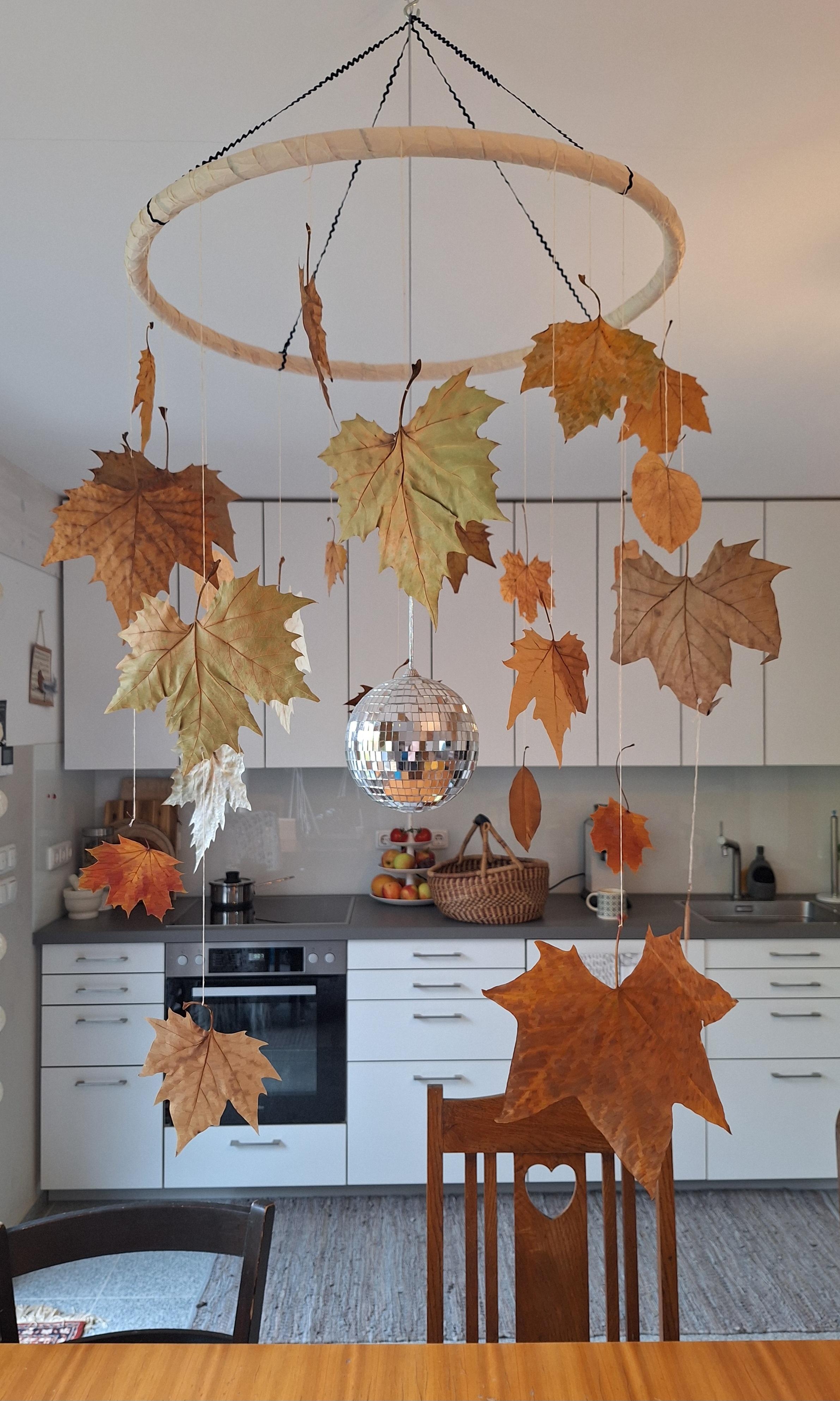 HERBSTBLÄTTER
#Herbstblätter #Herbst #Herbstdeko #wartenaufdenWinter #Herbstfarben #Küche #Vintagemöbel #alteStühle #Discokugel #Upcycling