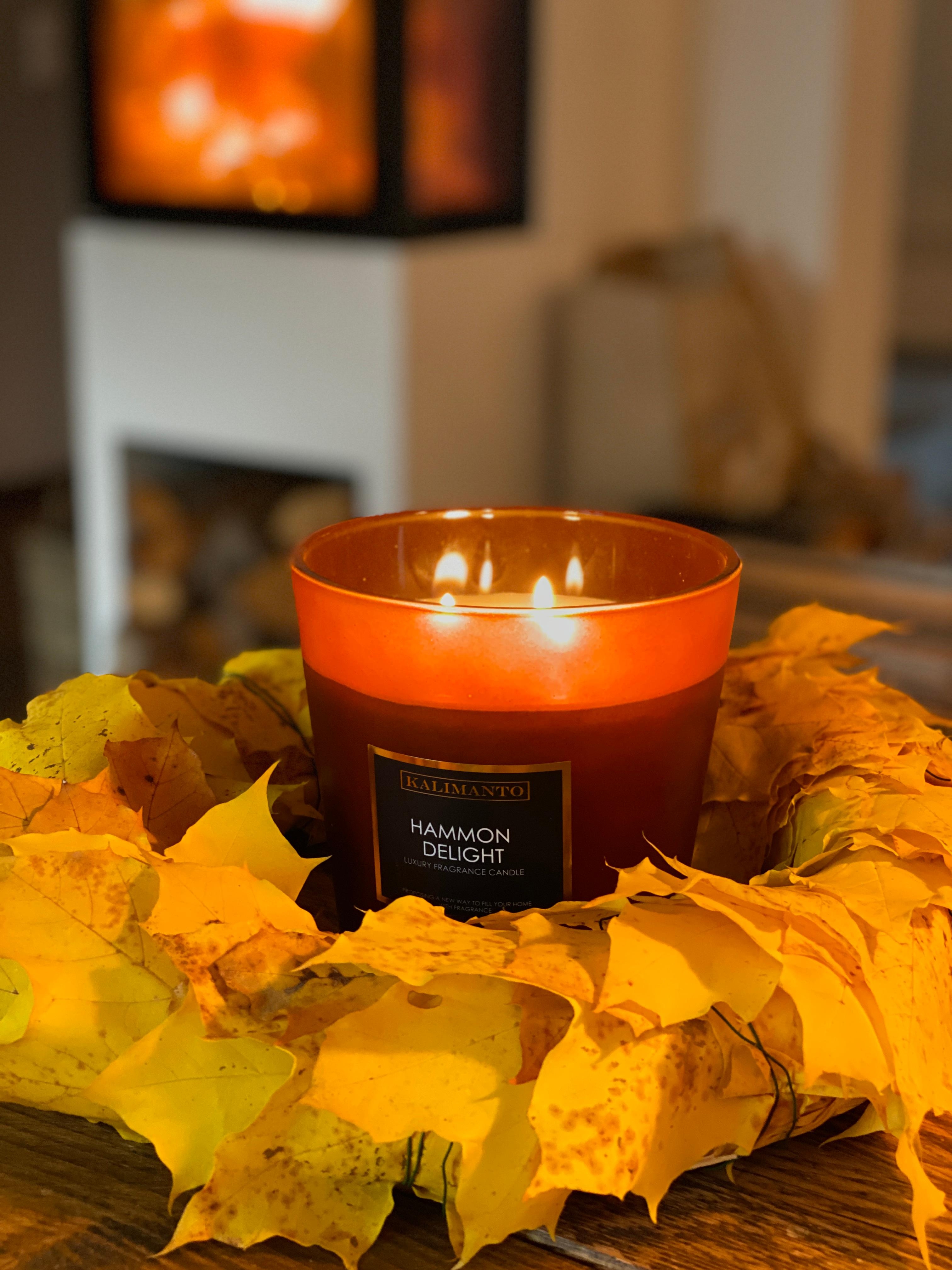 #Herbstdeko #herbst #herbst DIY
In warmen Tönen natürliche Herbstdeko 🍁🍁🍁

