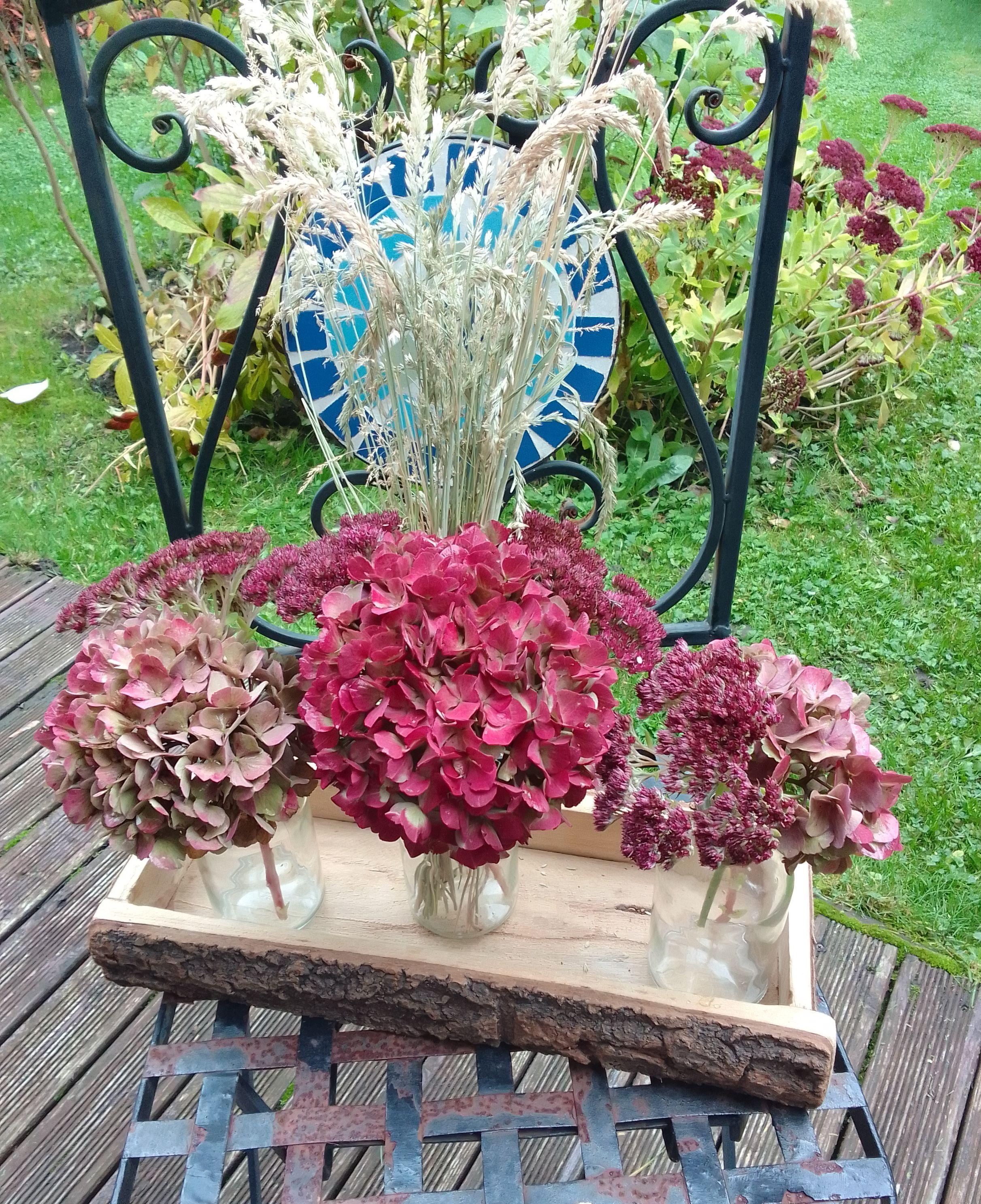 #herbstdeko #hortensien #mauerpfeffer #herbstfarben #rot