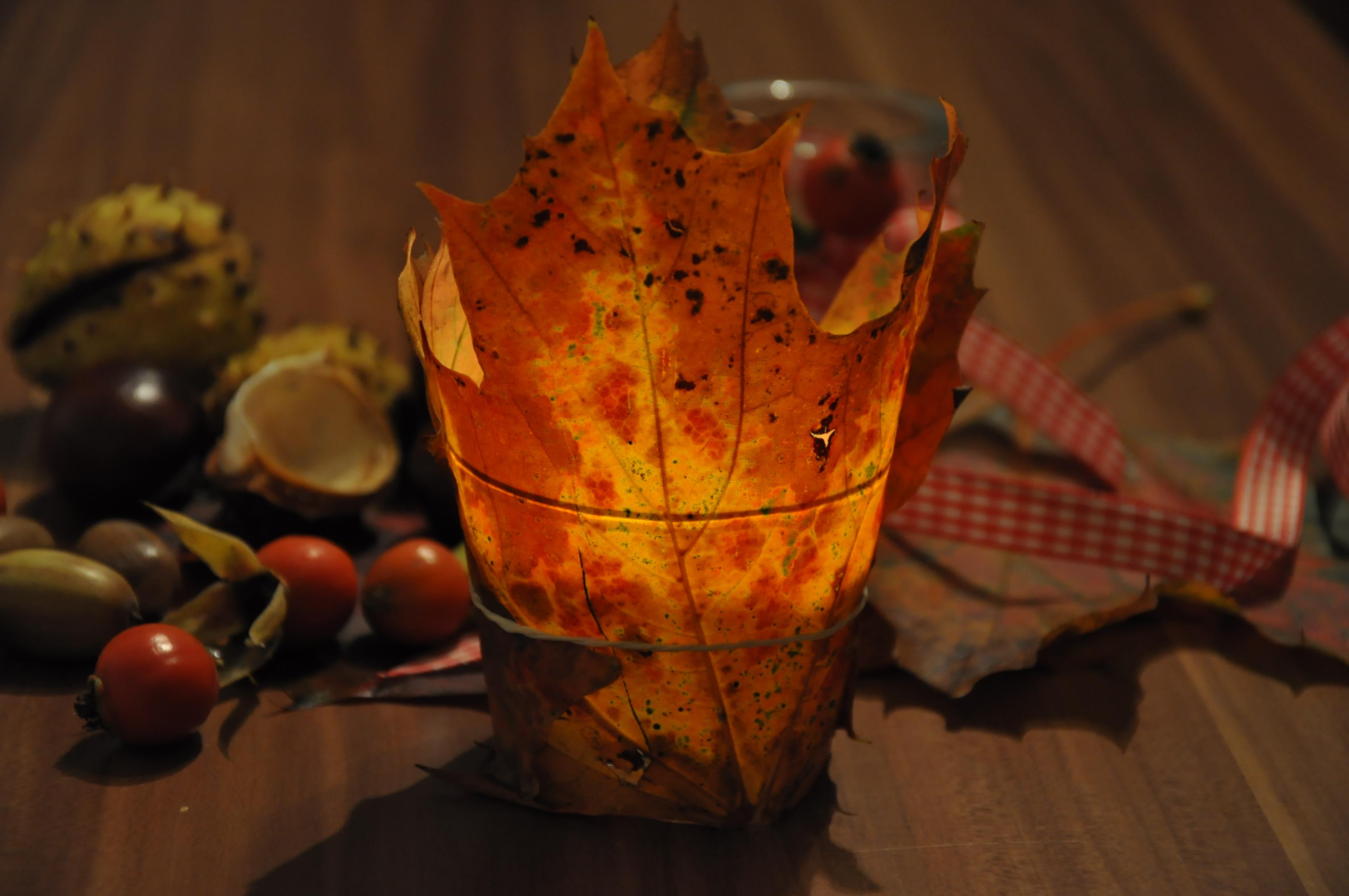 Herbstdeko mit Windlicht DIY #herbstdeko ©Schirmherrschaft GmbH