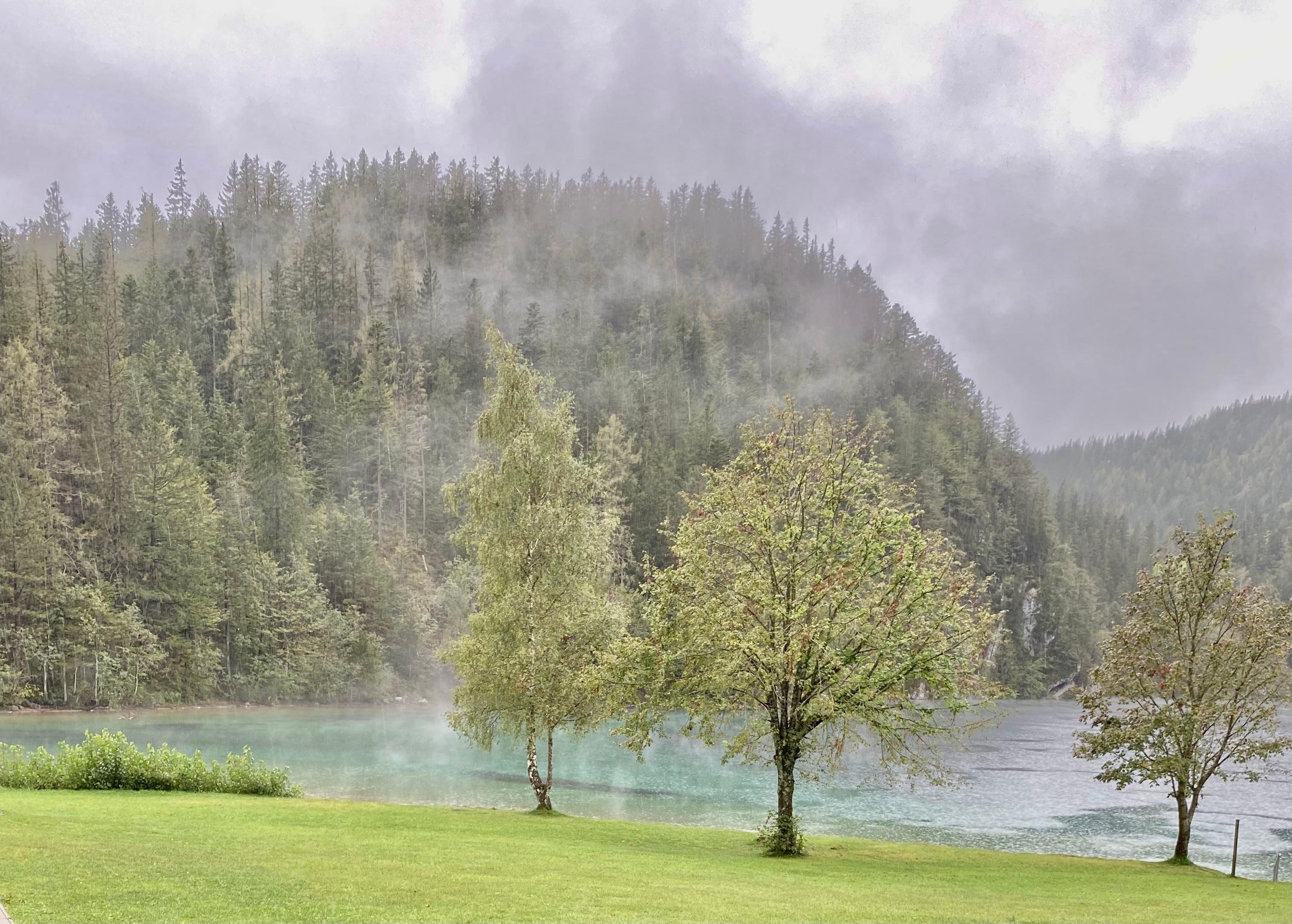 Herbstlicher Seeblick mit Nebelschwaden
#herbst #natur #wanderung