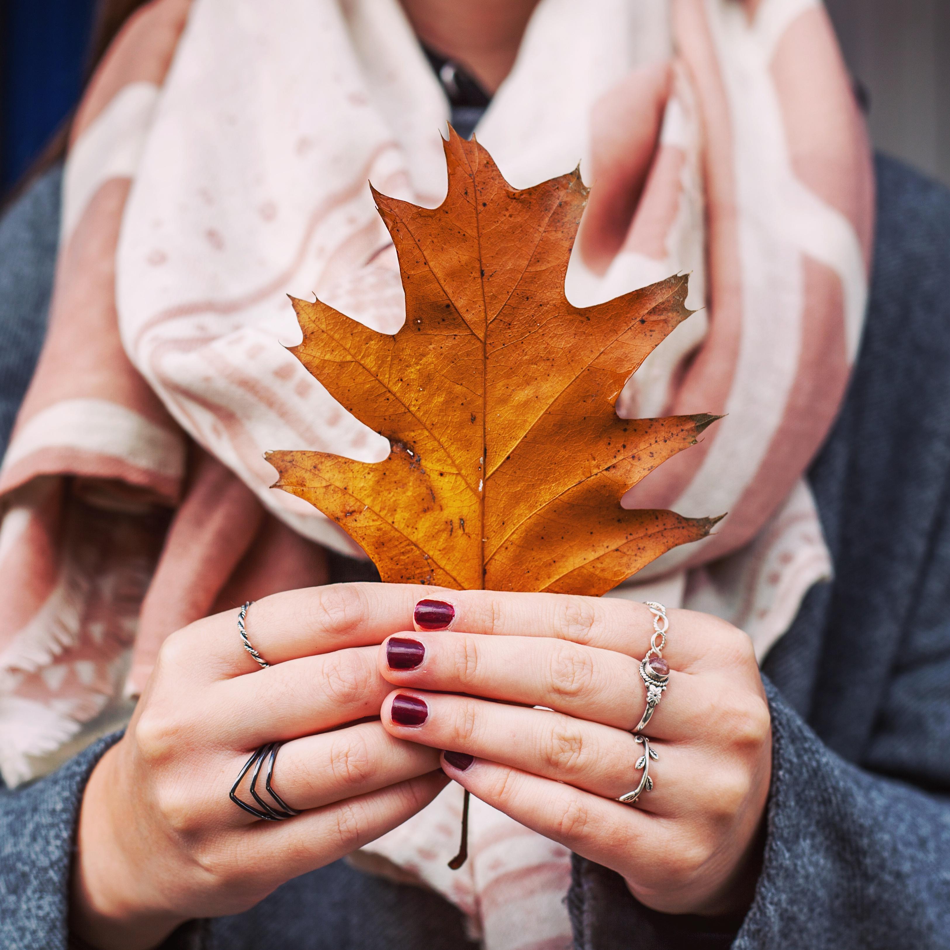 #Herbstliebe 🍁 #herbst #cozy #golden