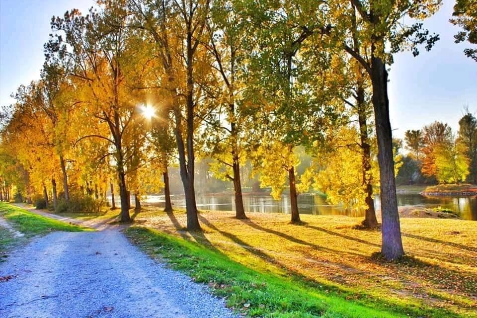 #Herbstpic
#autumn 
#naturliebe 