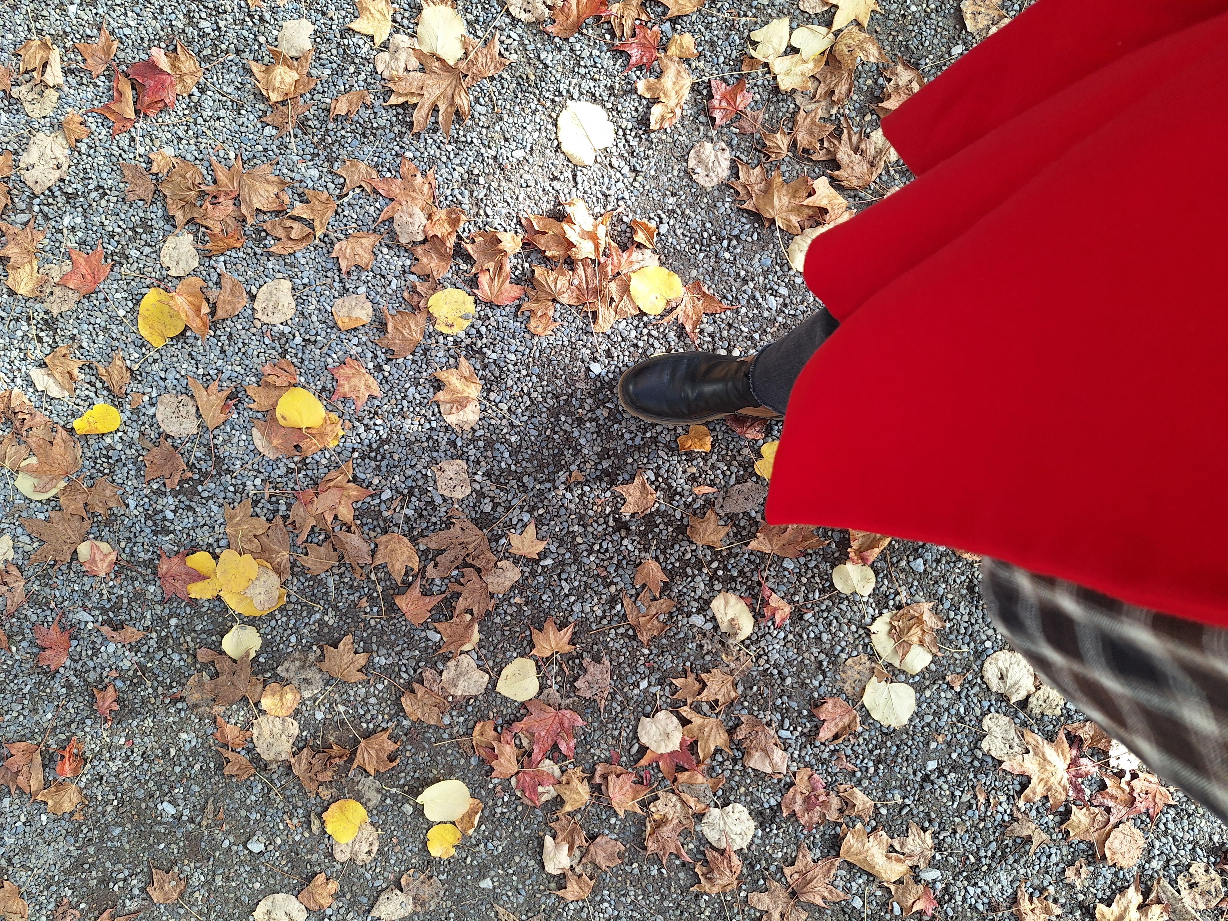 HERBSTSCHRITT
#Spaziergang #sightseeing #Zürich #Schweiz #einTagAuszeit #Stadtbesichtigung #ootd #rot #roterMantel #Mantel #Karo #Karobluse