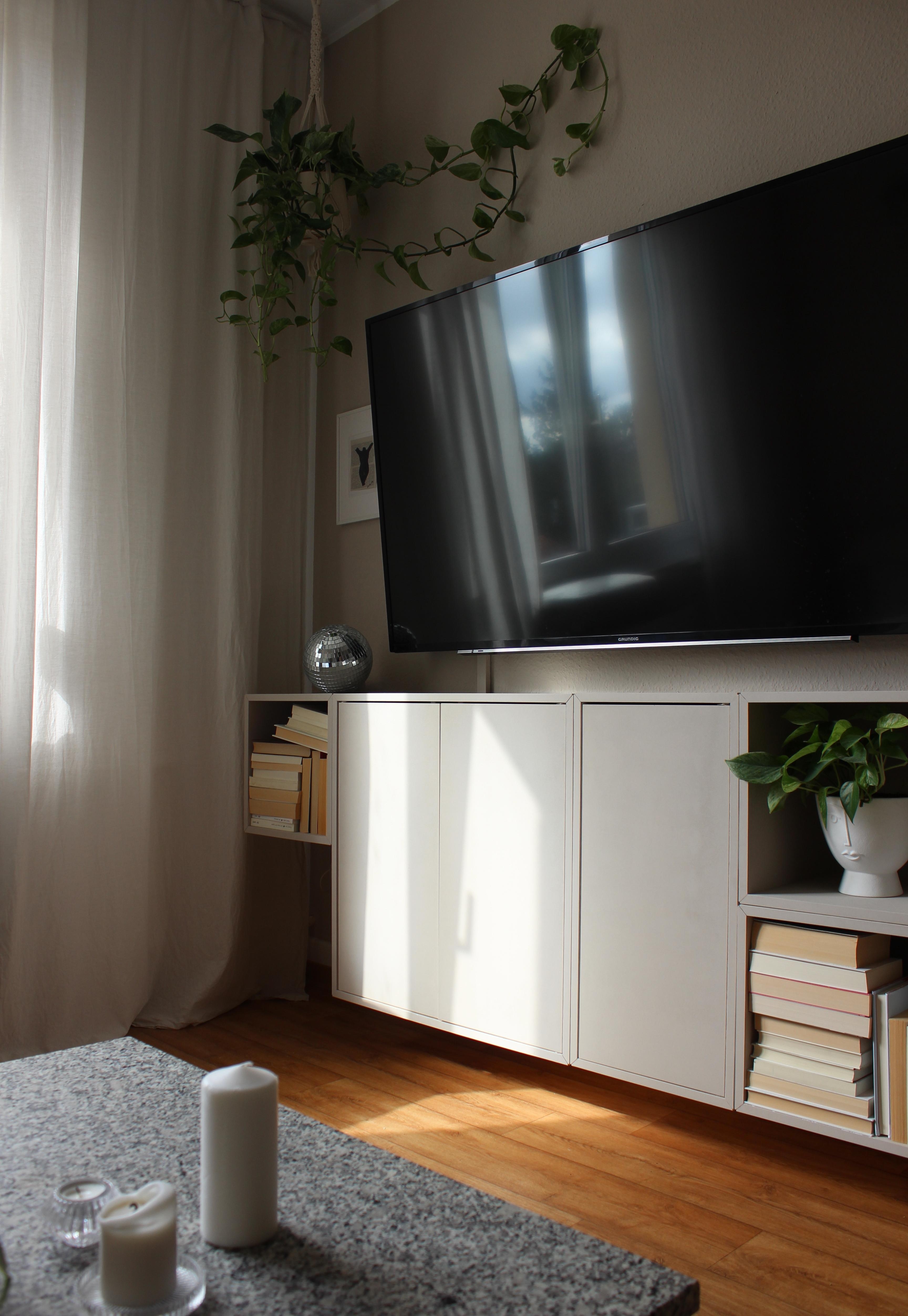 herbstsonne im wohnzimmer 🤍🍂 #wohnzimmer #sonne #sideboard #beige #pflanzen #bücher