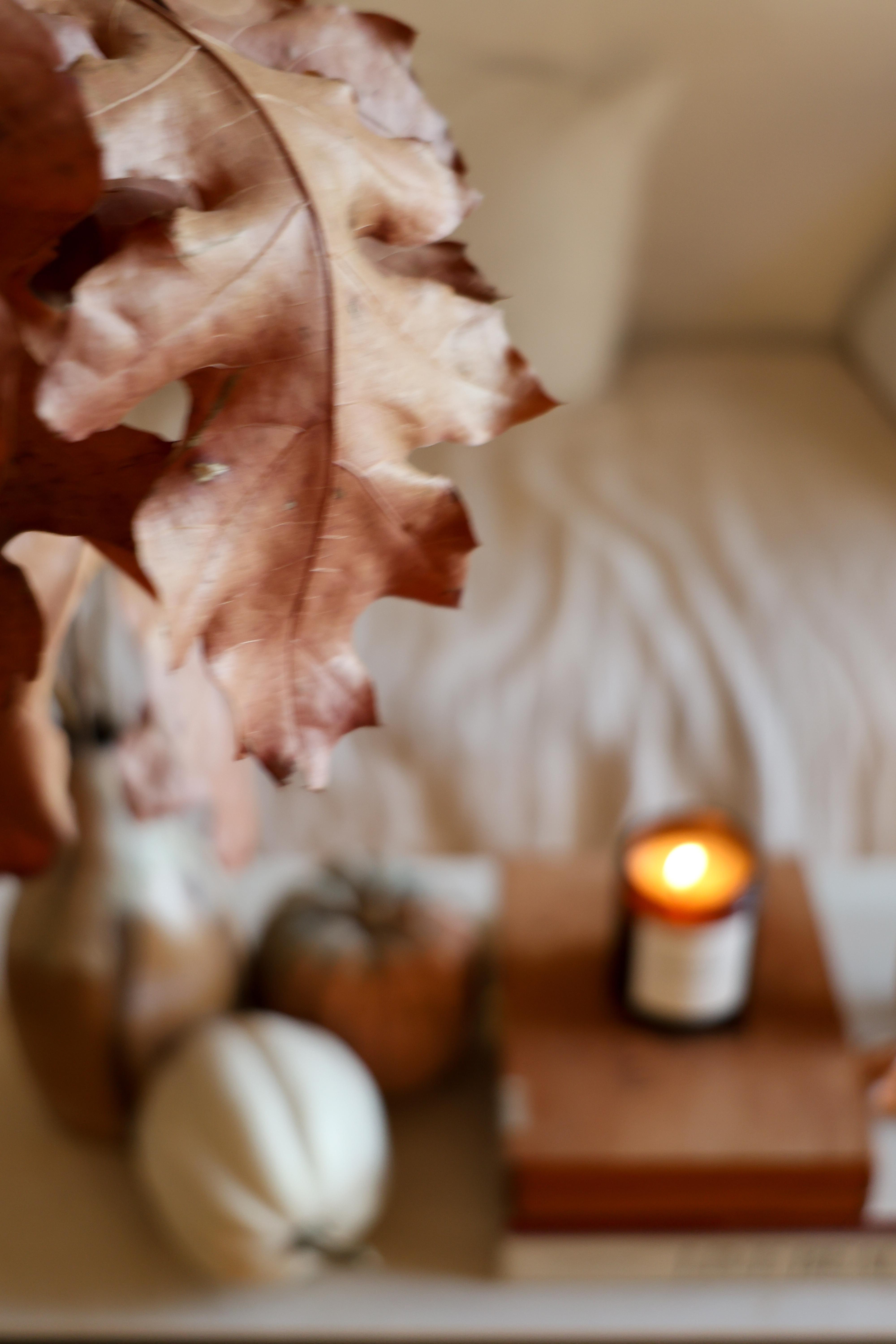 #herbstvibes #herbst #herbstdeko #herbstlicht #wohnzimmer