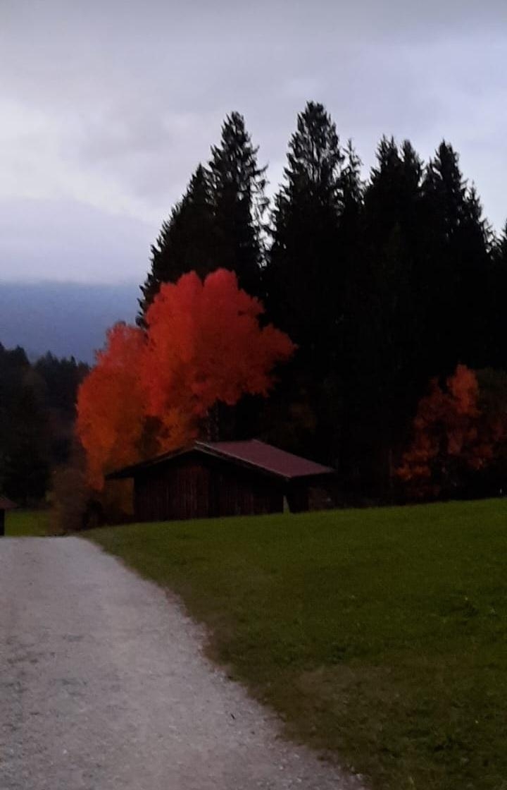 Herbstwanderung