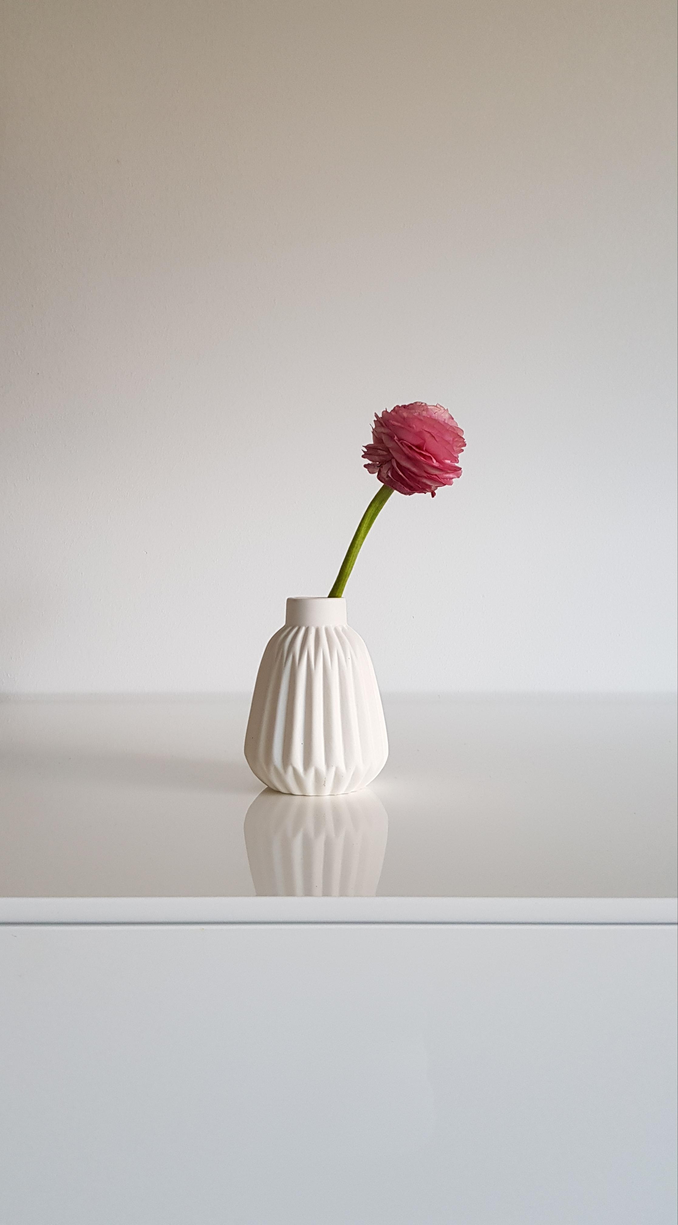Heute bin ich mal ganz minimalistisch in Bild und Wort! Happy Day! :-) #vase #vasen #blumen