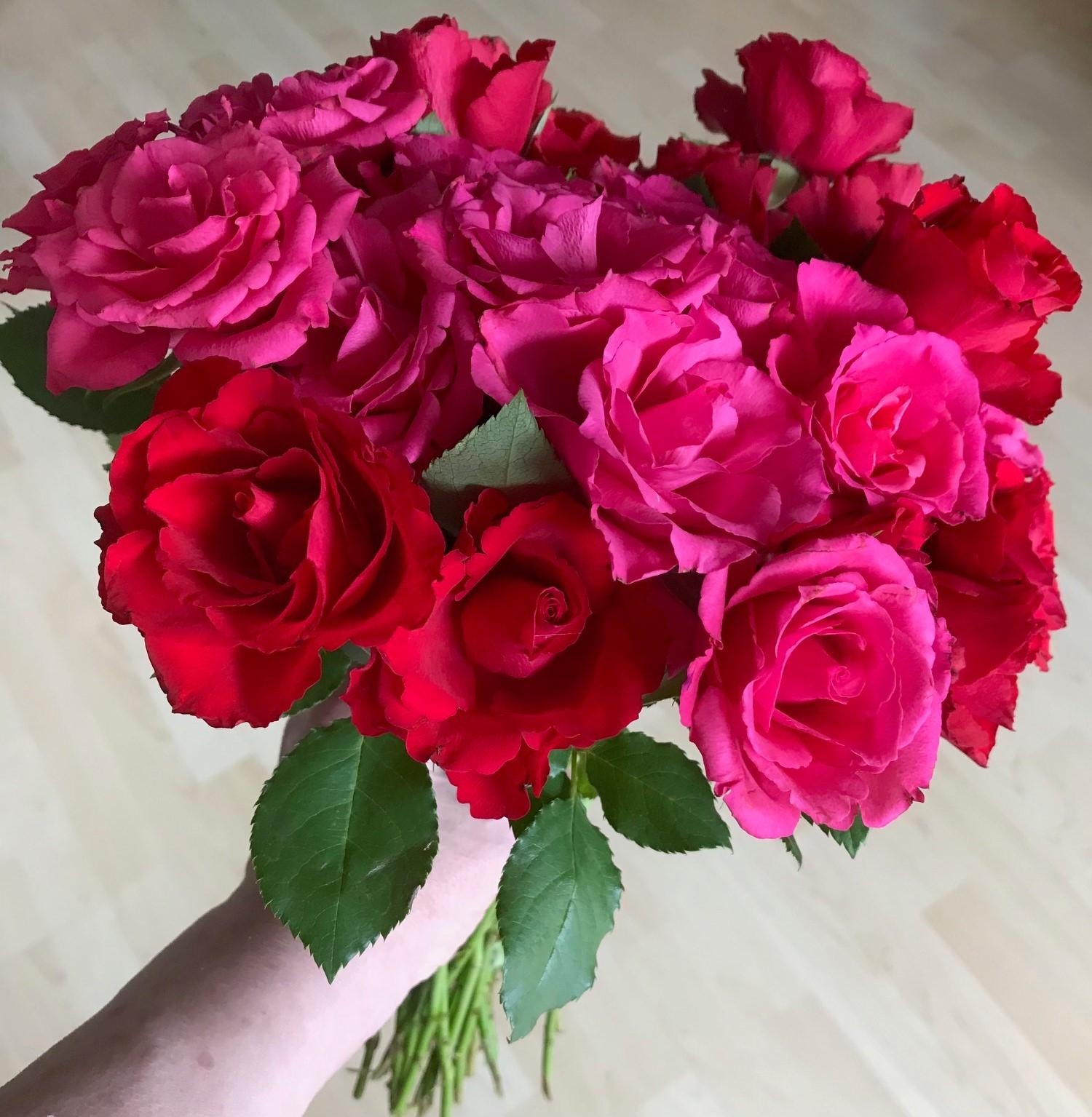 Heute gab es rote Rosen, einfach nur so :)
#rosenliebe #blumenliebe